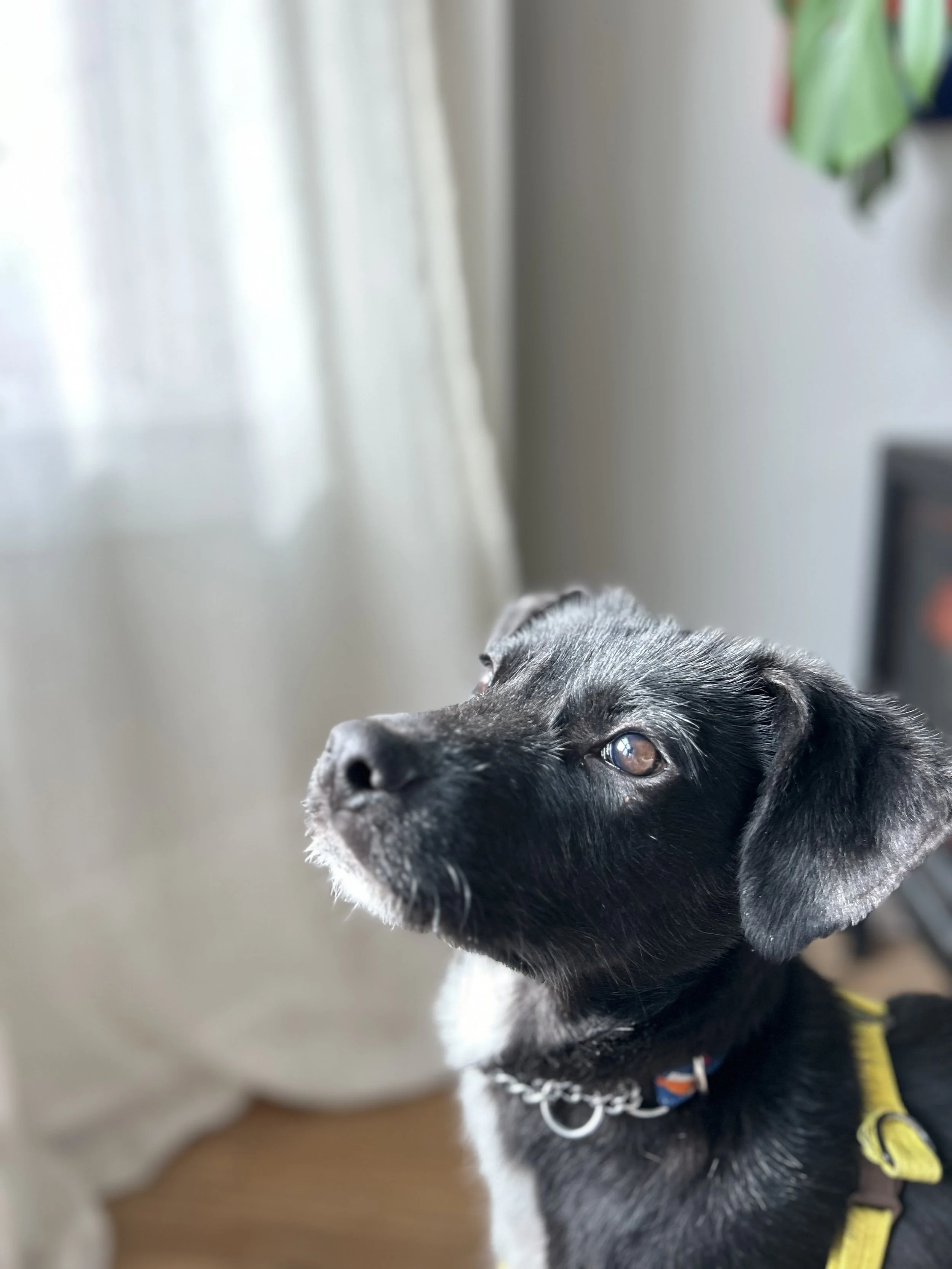 IMG_2832 - Adiya.jpg