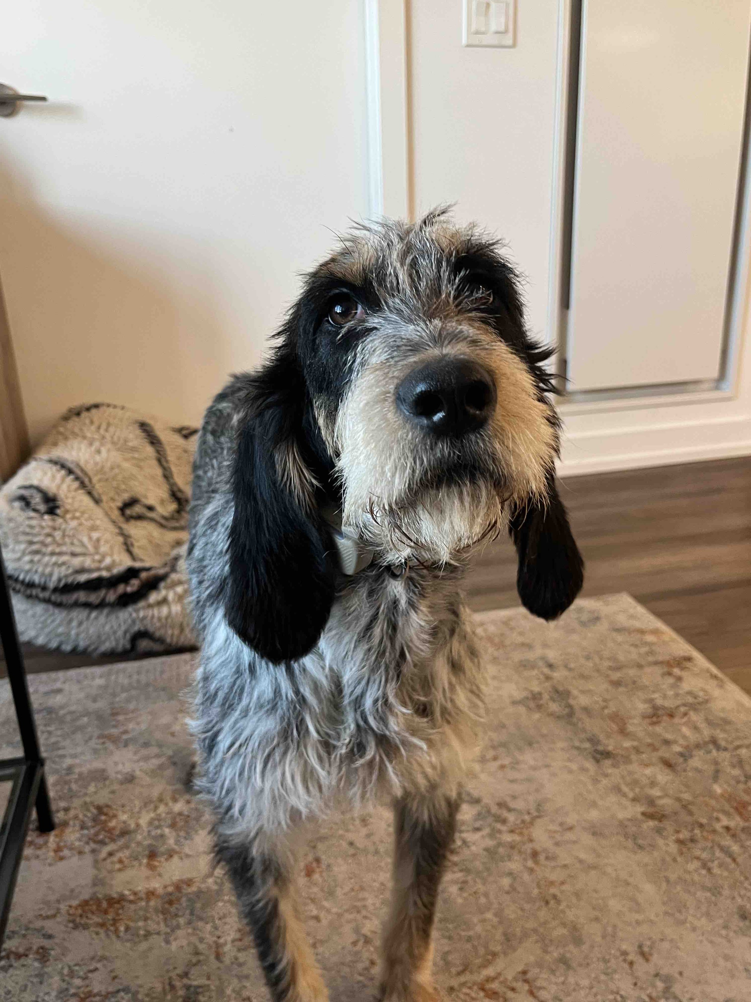 IMG_7375 - Dana Hiniker.jpg