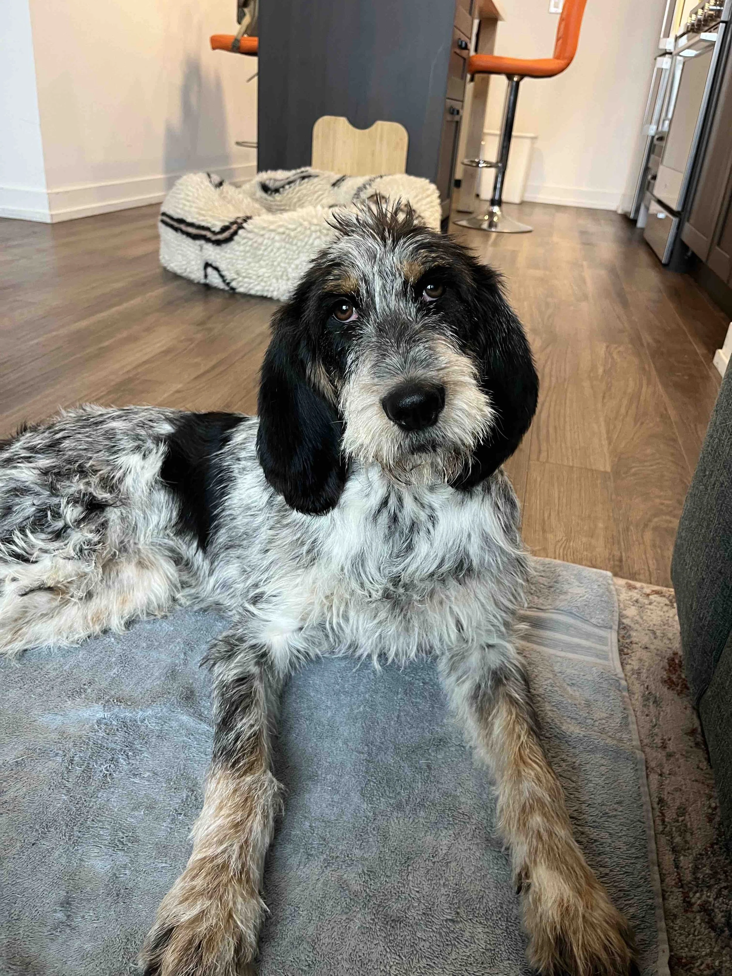 IMG_7450 - Dana Hiniker.jpg