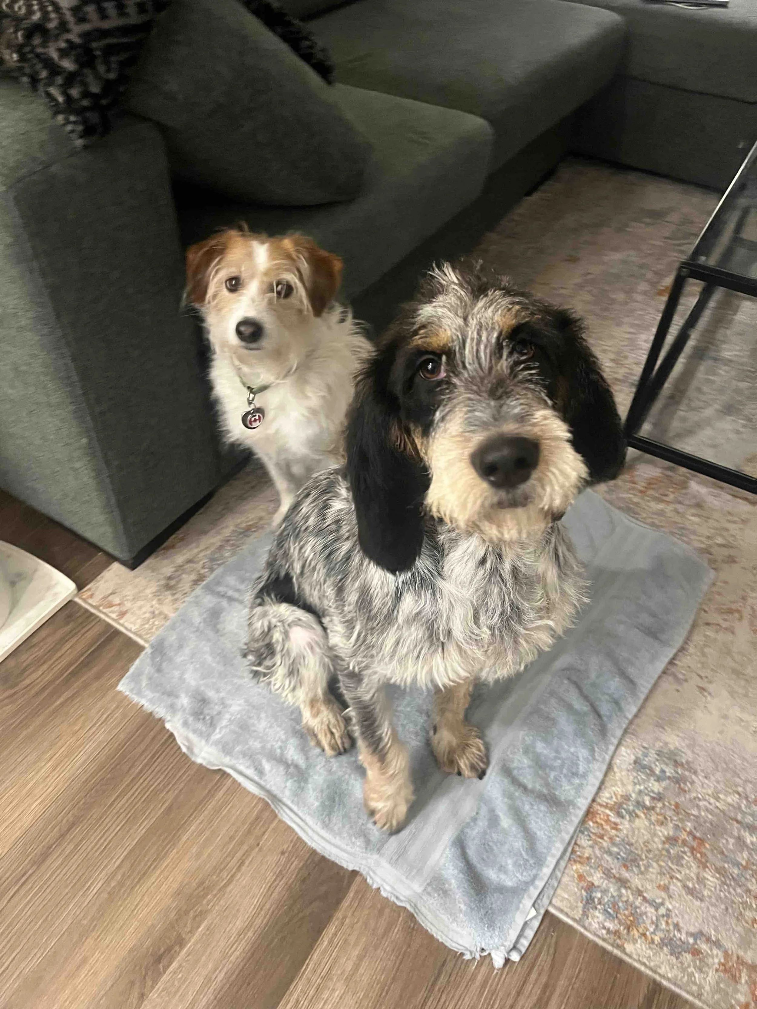 IMG_7483 - Dana Hiniker.jpg