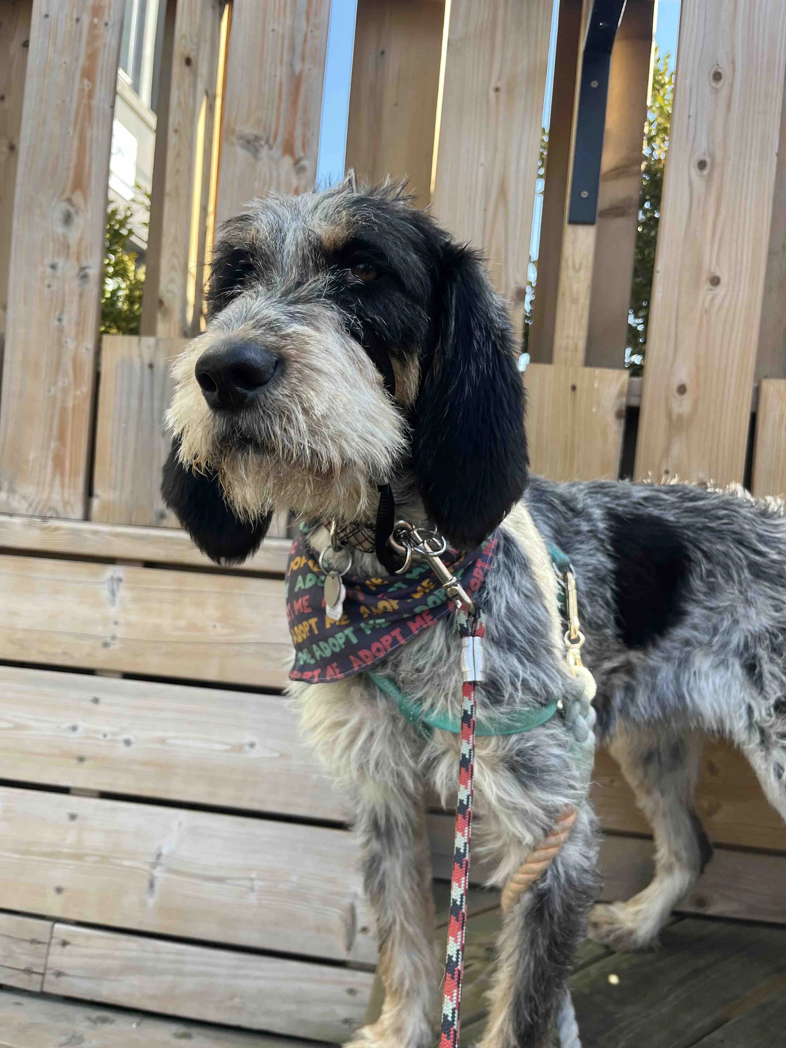 IMG_7531 - Dana Hiniker.jpg