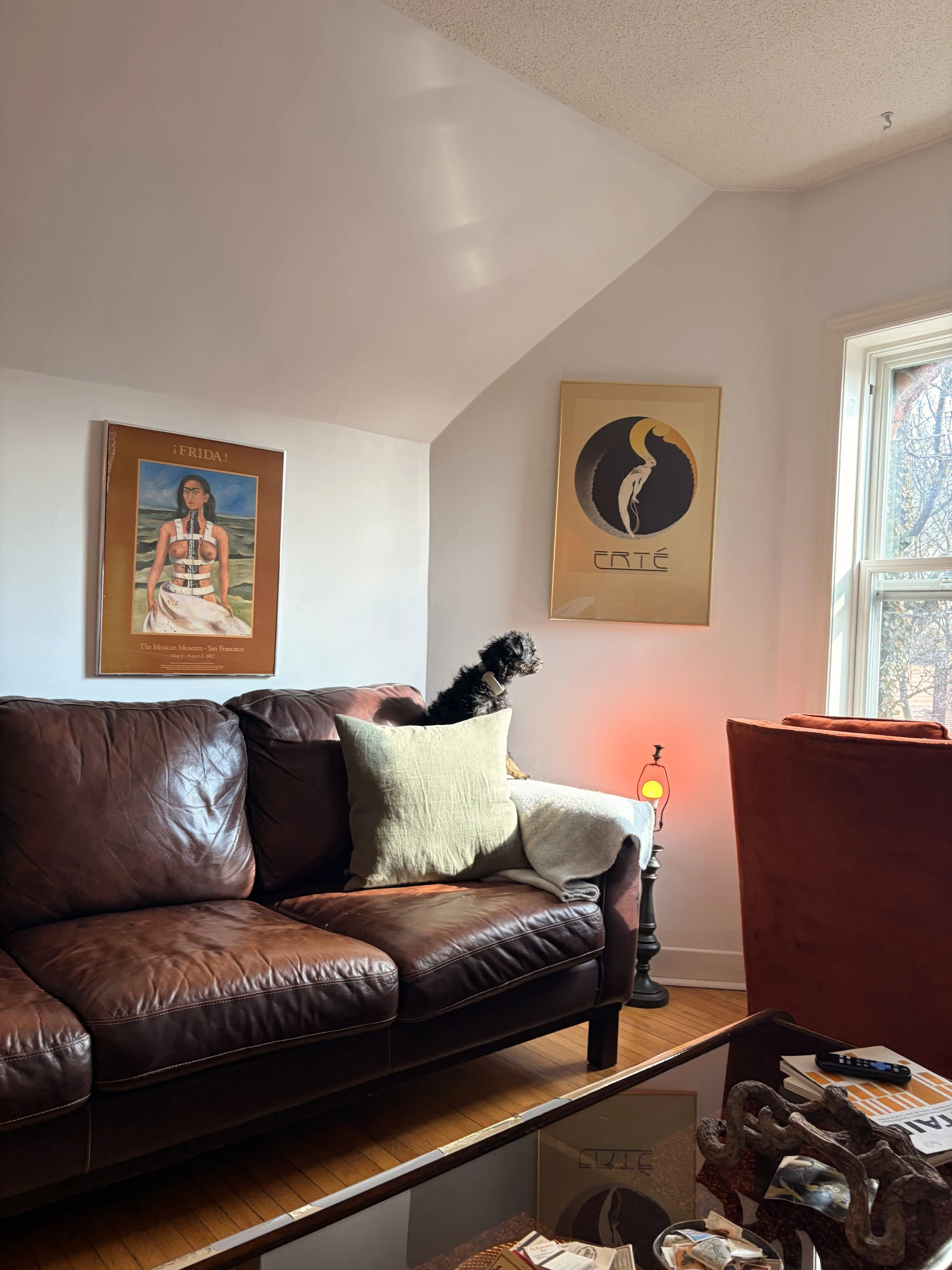 IMG_2813 - maggie mclean.jpeg