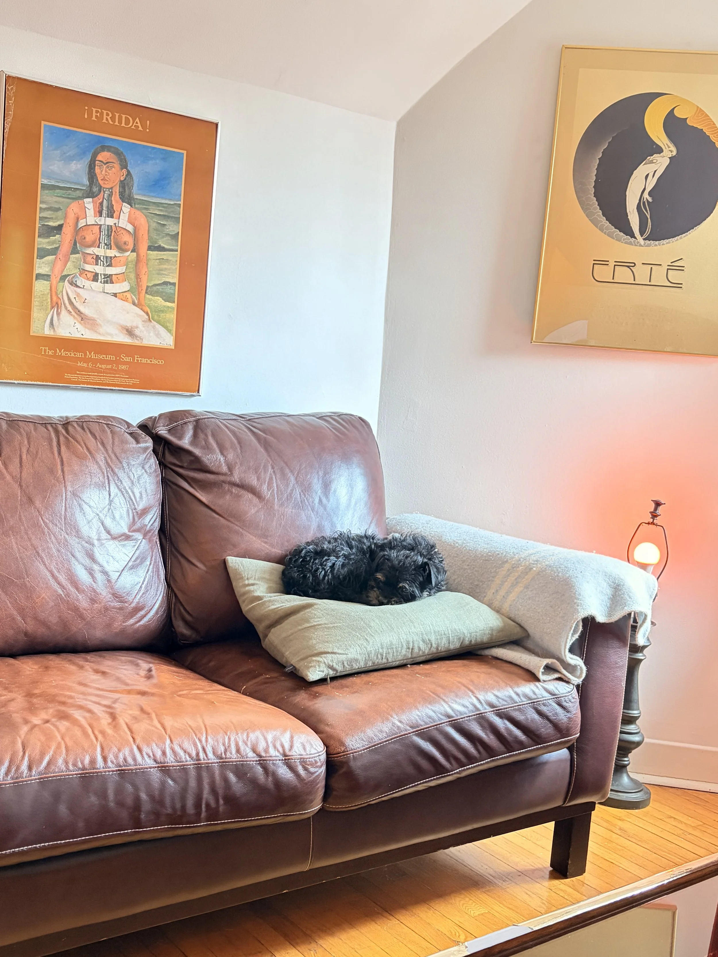 IMG_2820 - maggie mclean.jpeg