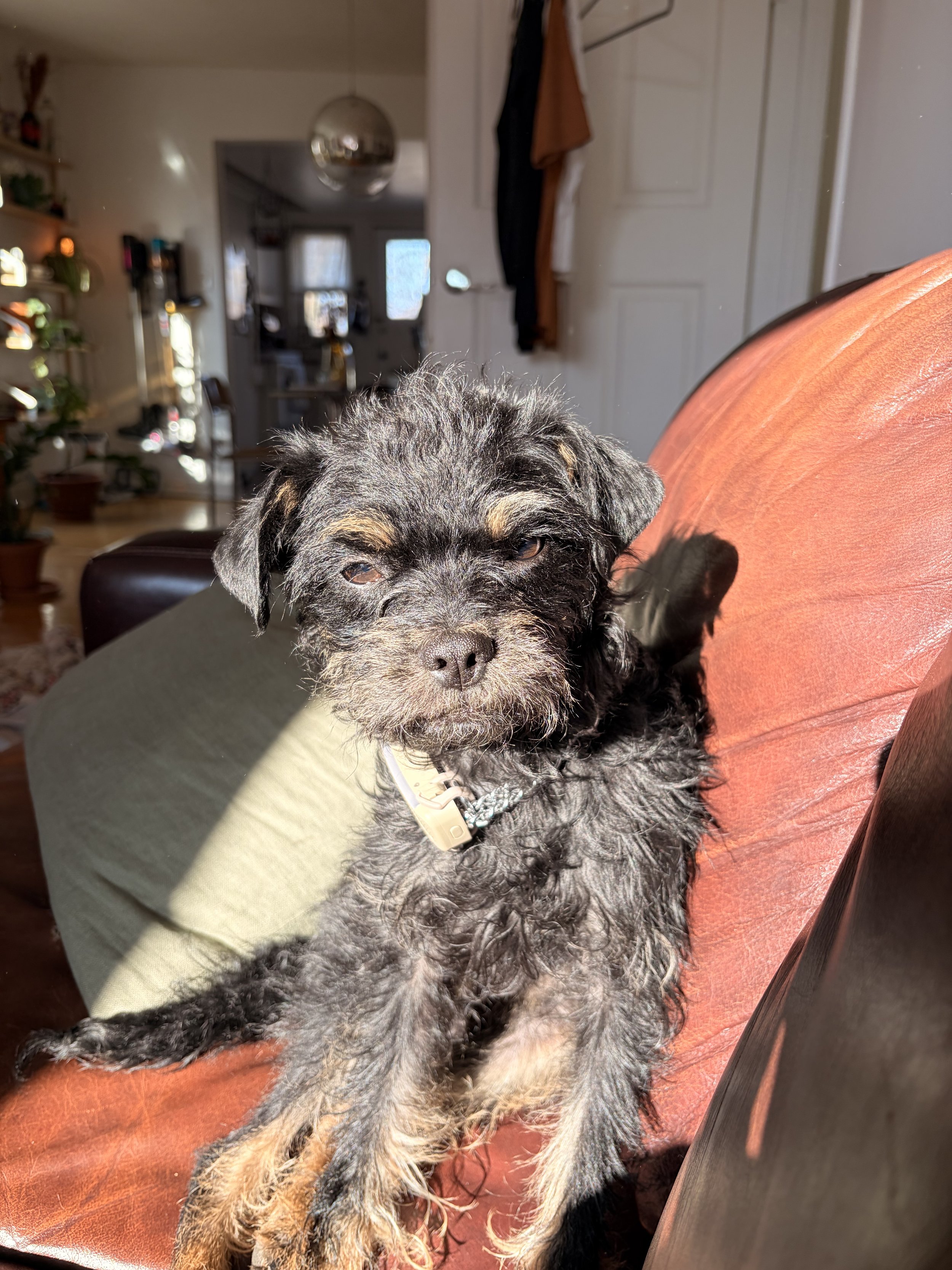 IMG_2859 - maggie mclean.jpeg