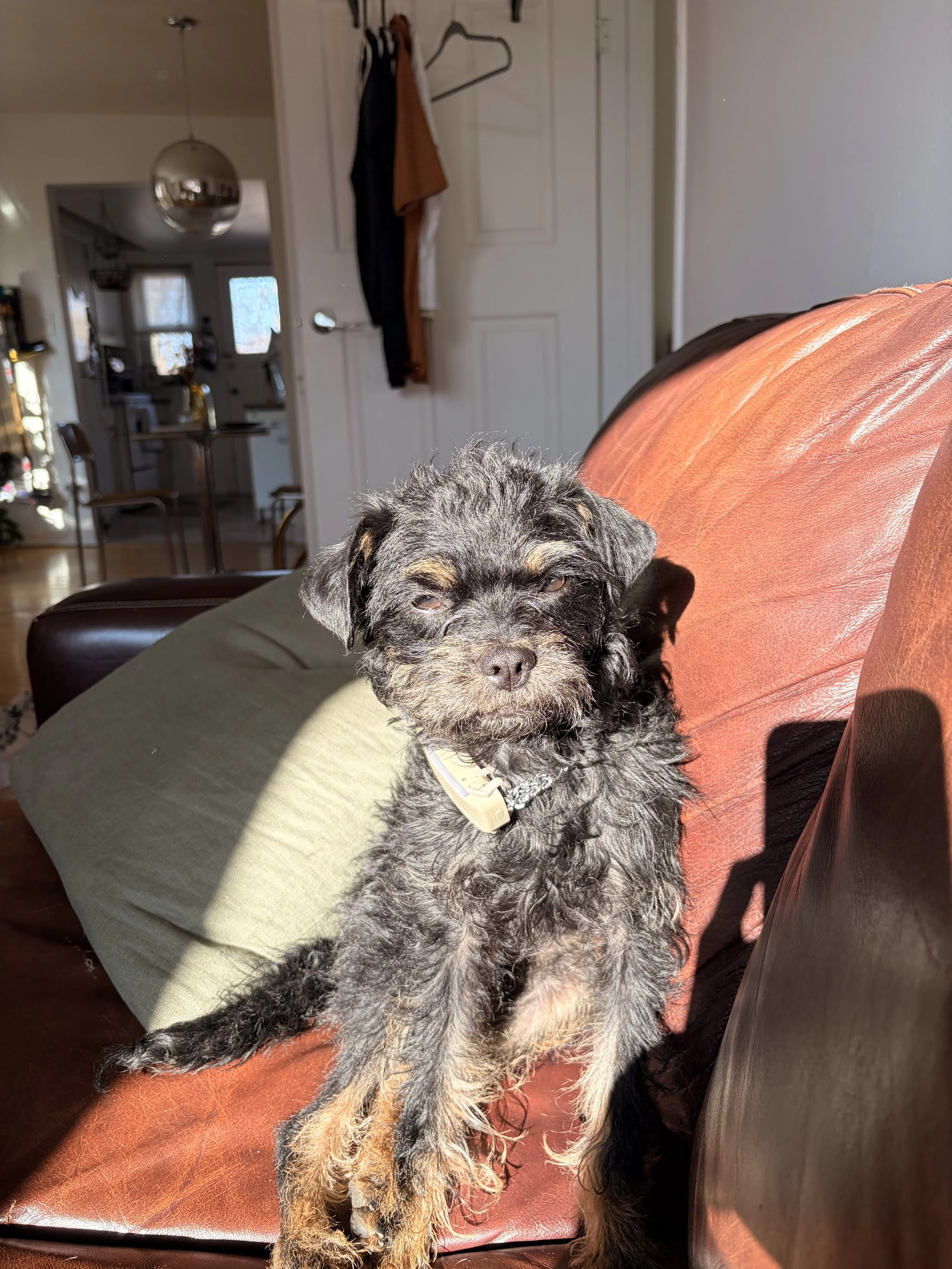 IMG_2860 - maggie mclean.jpeg