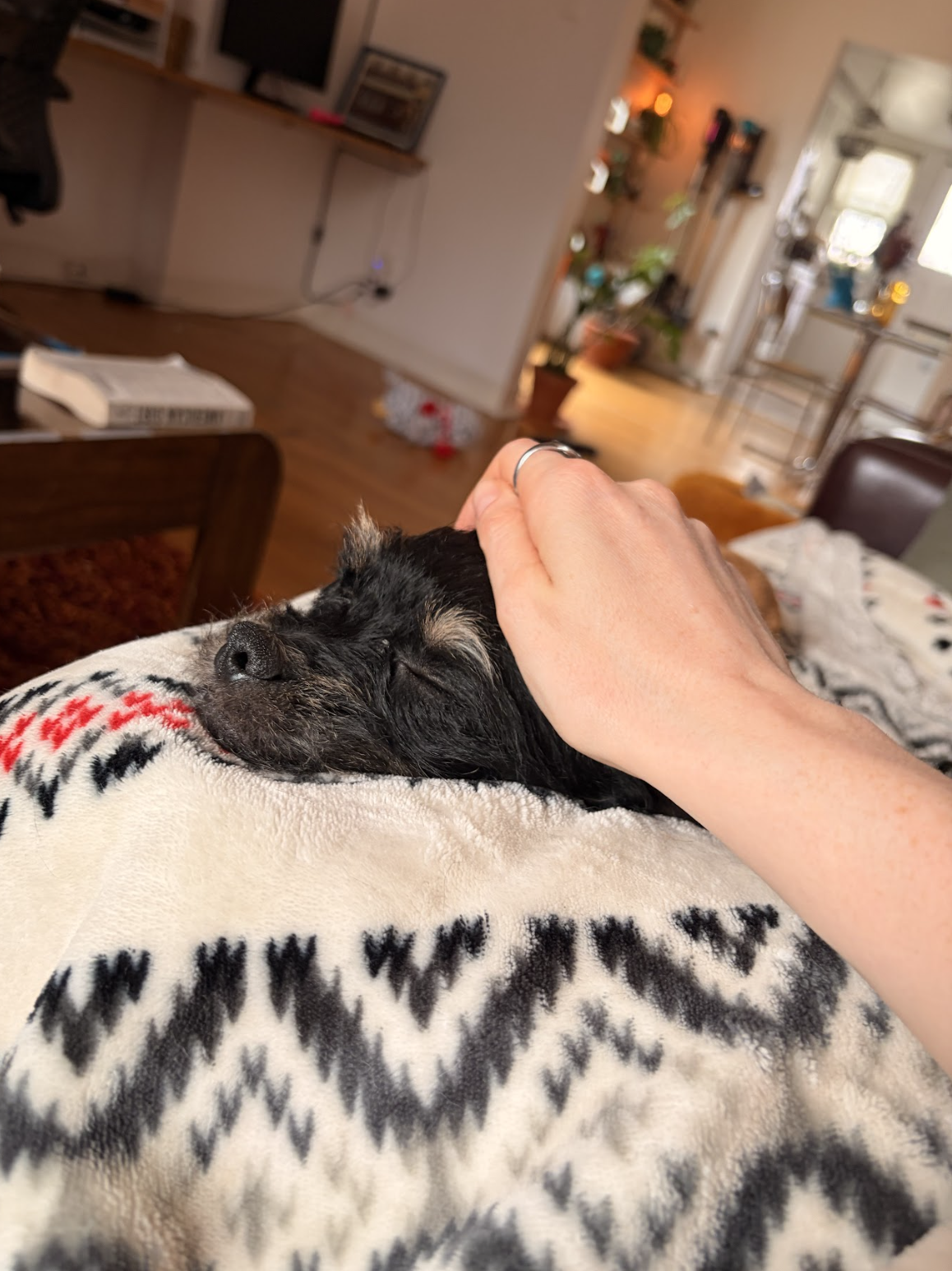 Screenshot 2026-04-17 at 9.02.32 AM.png