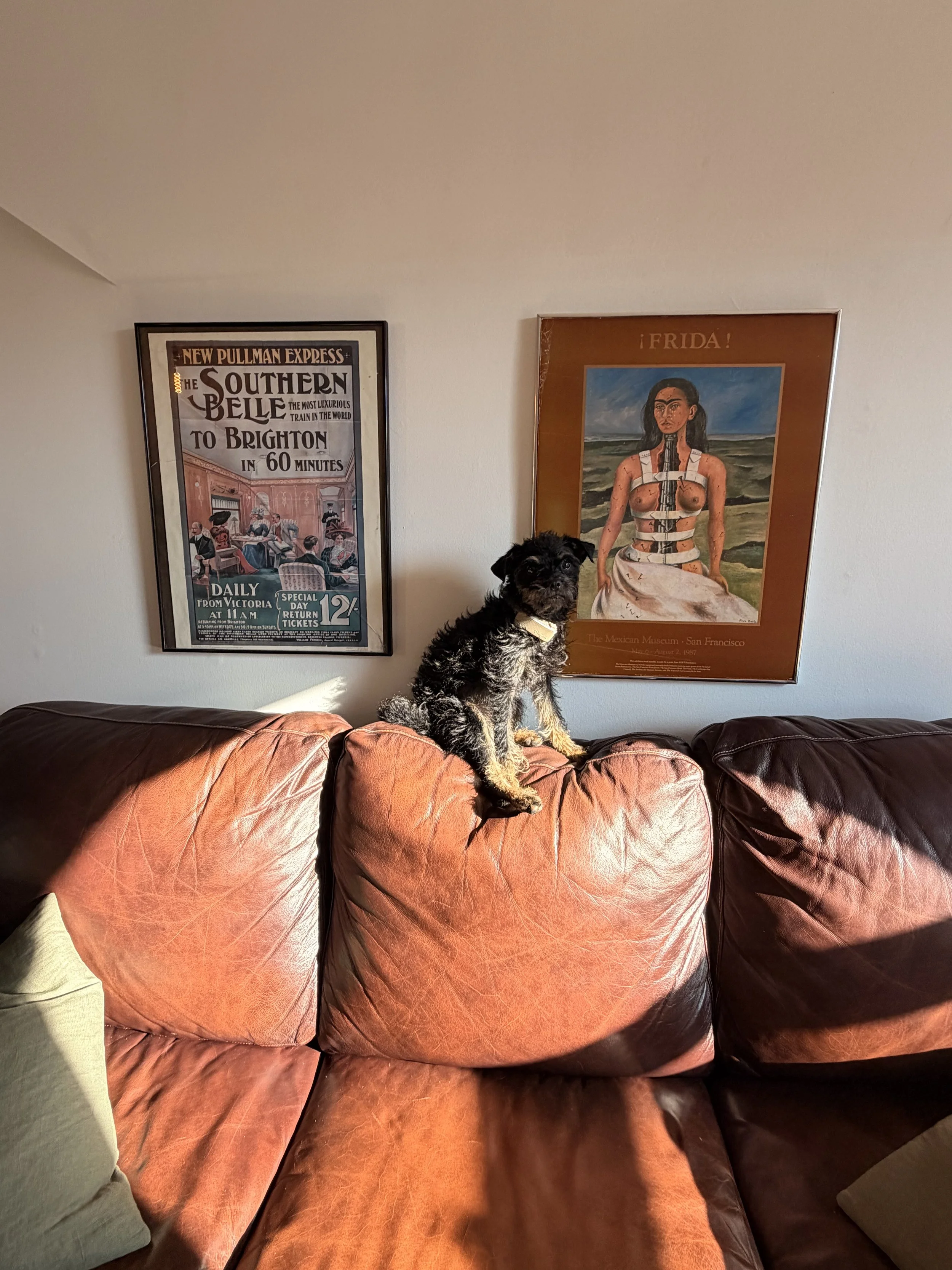 IMG_2864 - maggie mclean.jpeg