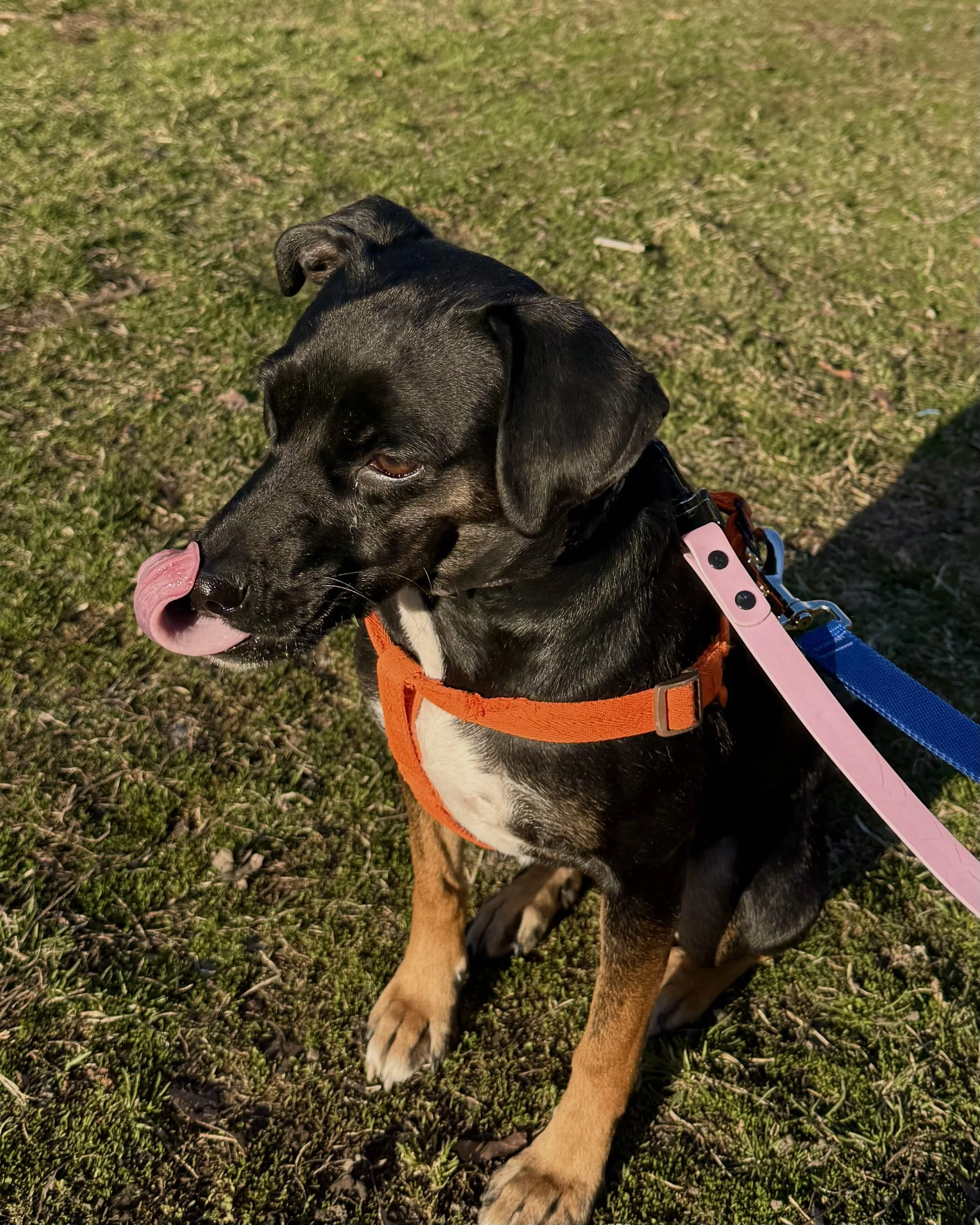 IMG_8898 - Tara Chan.jpg