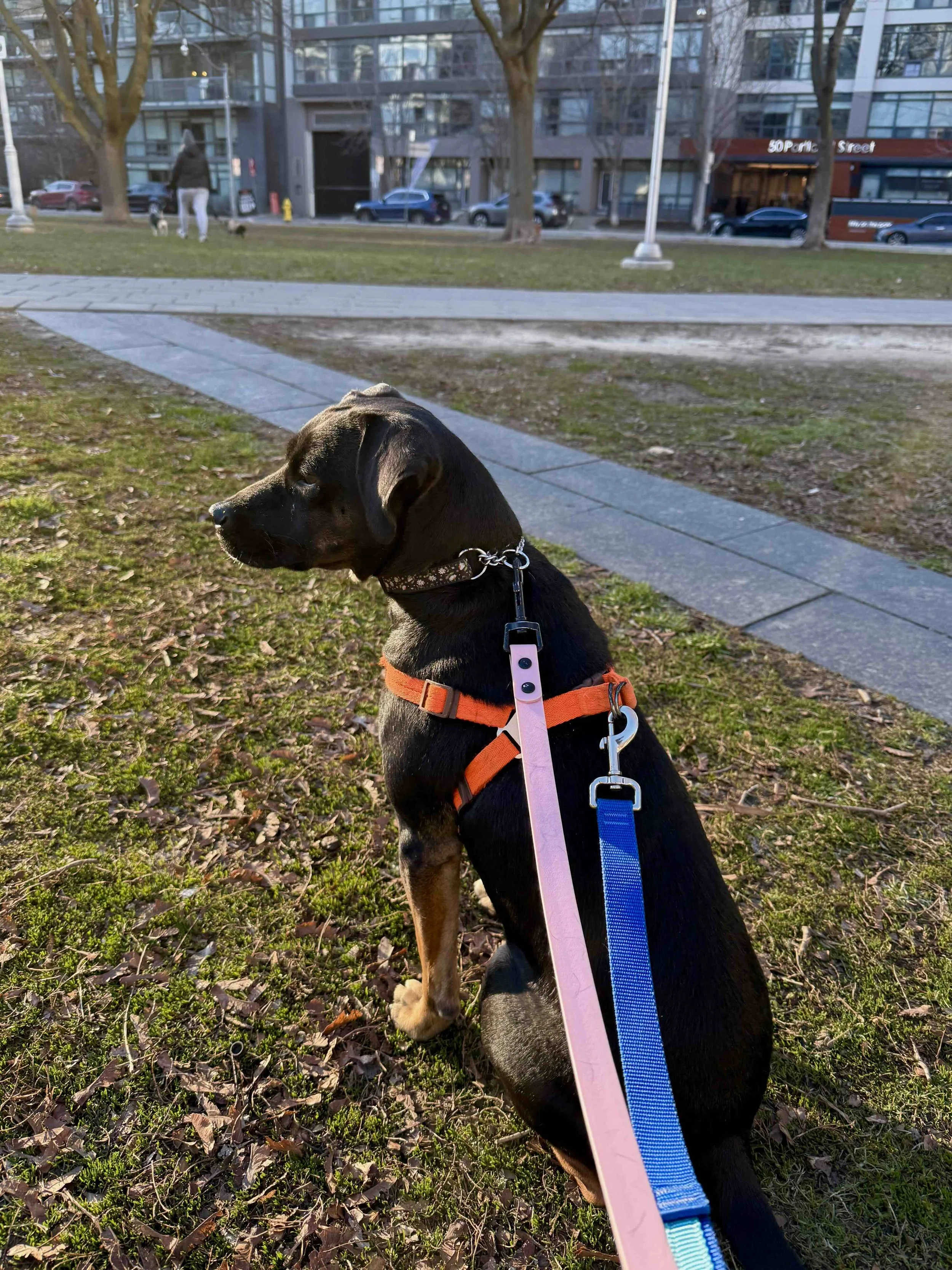 IMG_8904 - Tara Chan.jpg