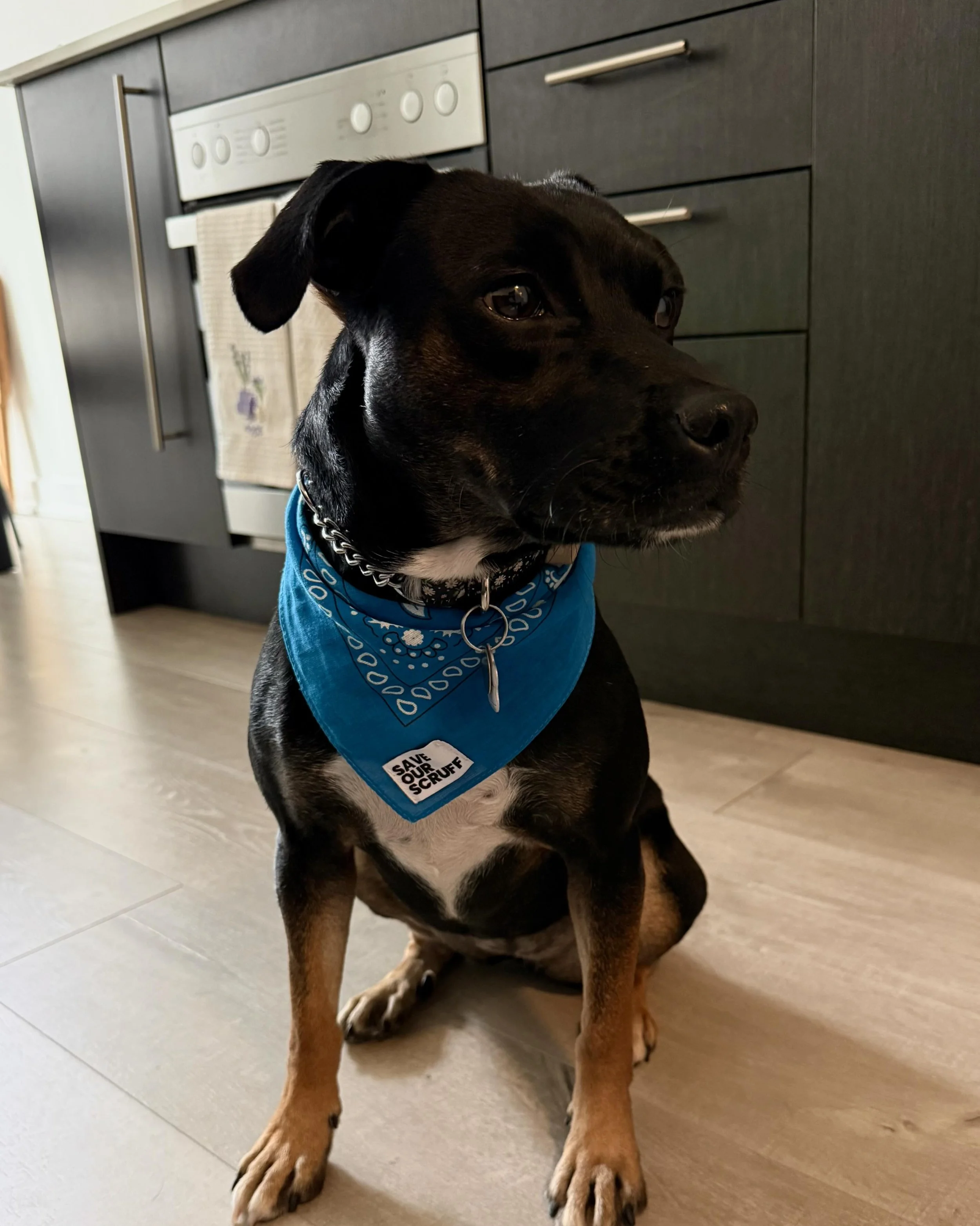 IMG_9112 - Tara Chan.jpg