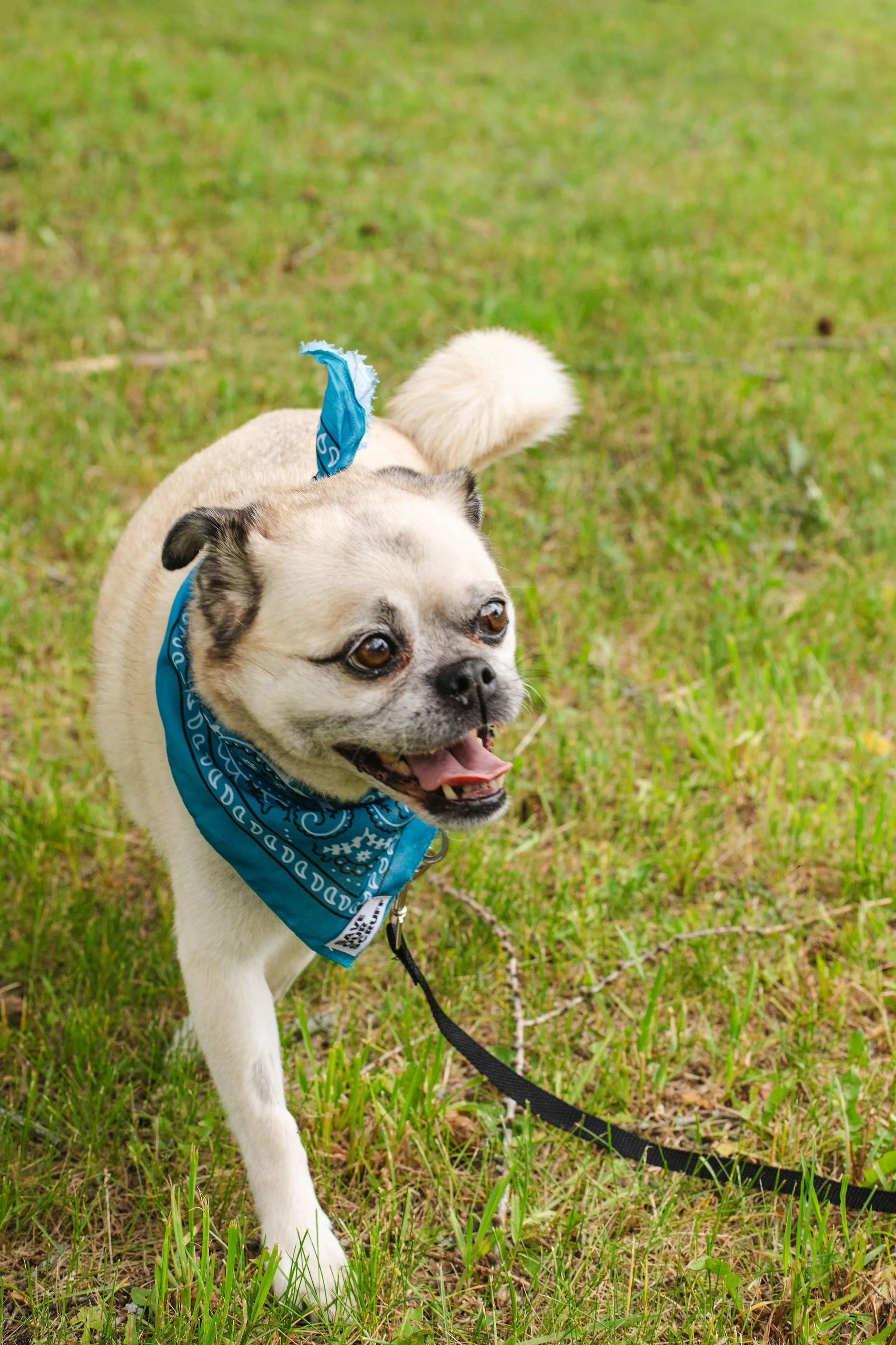 Doug-28.jpg