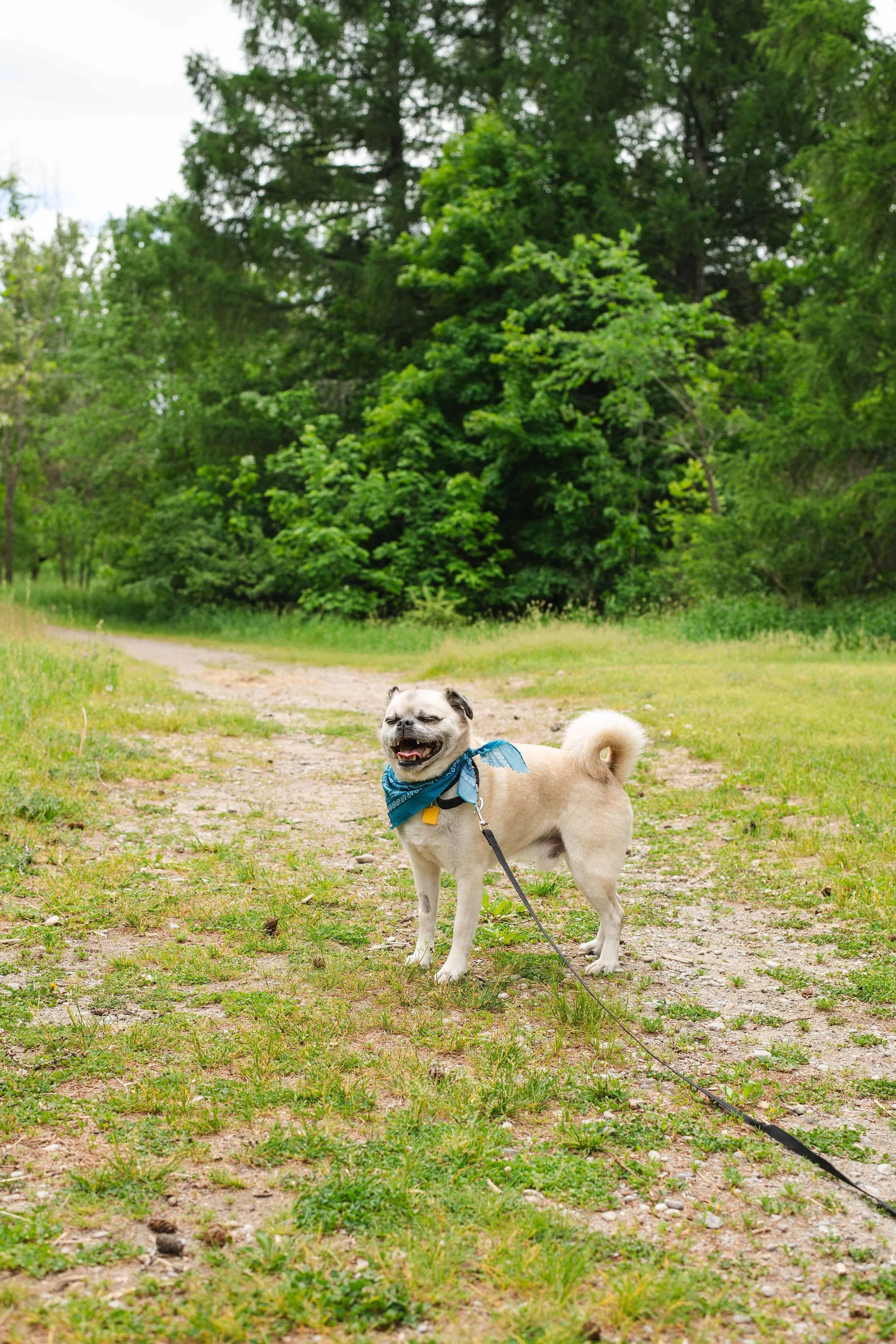 Doug-34.jpg
