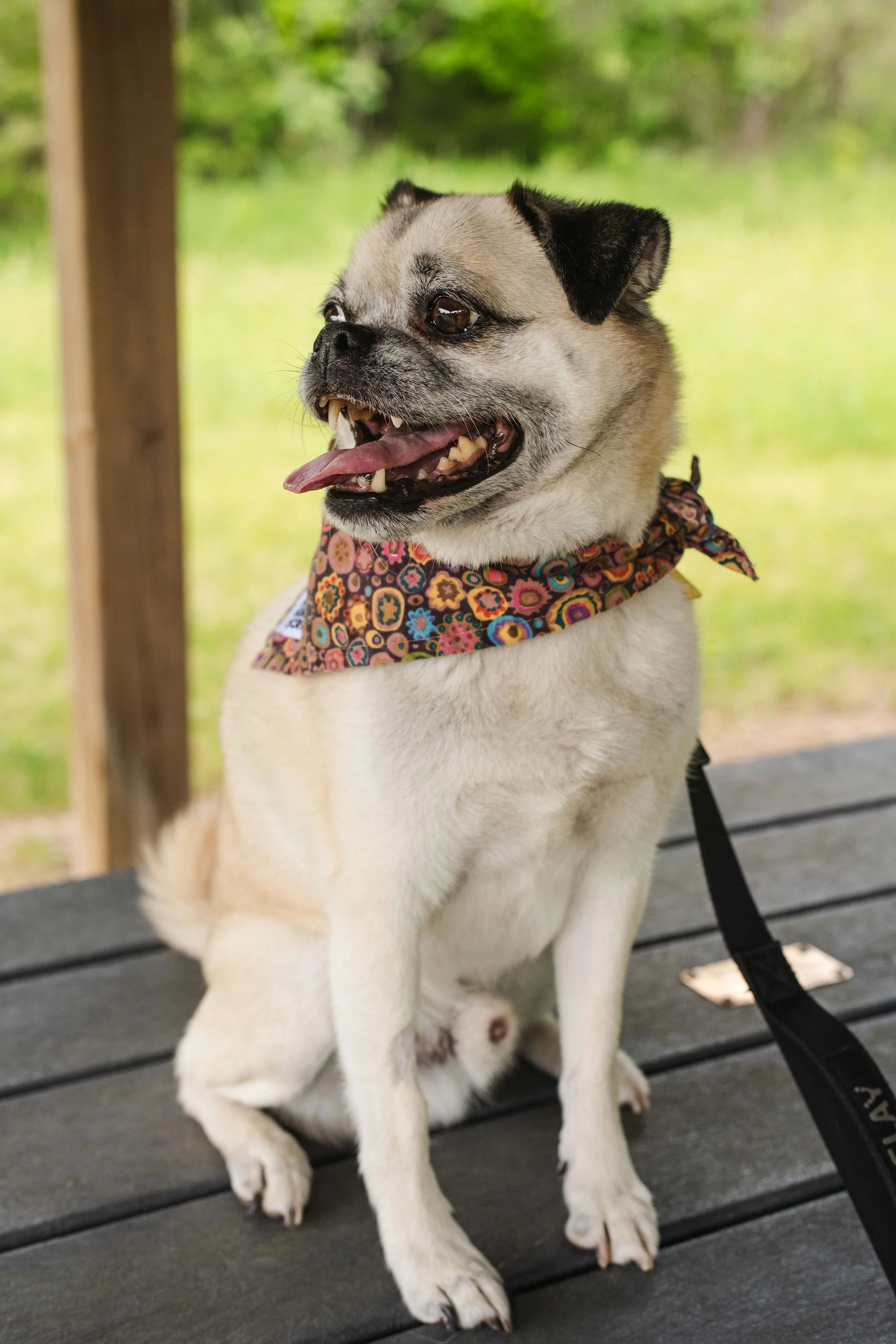 Doug-15.jpg