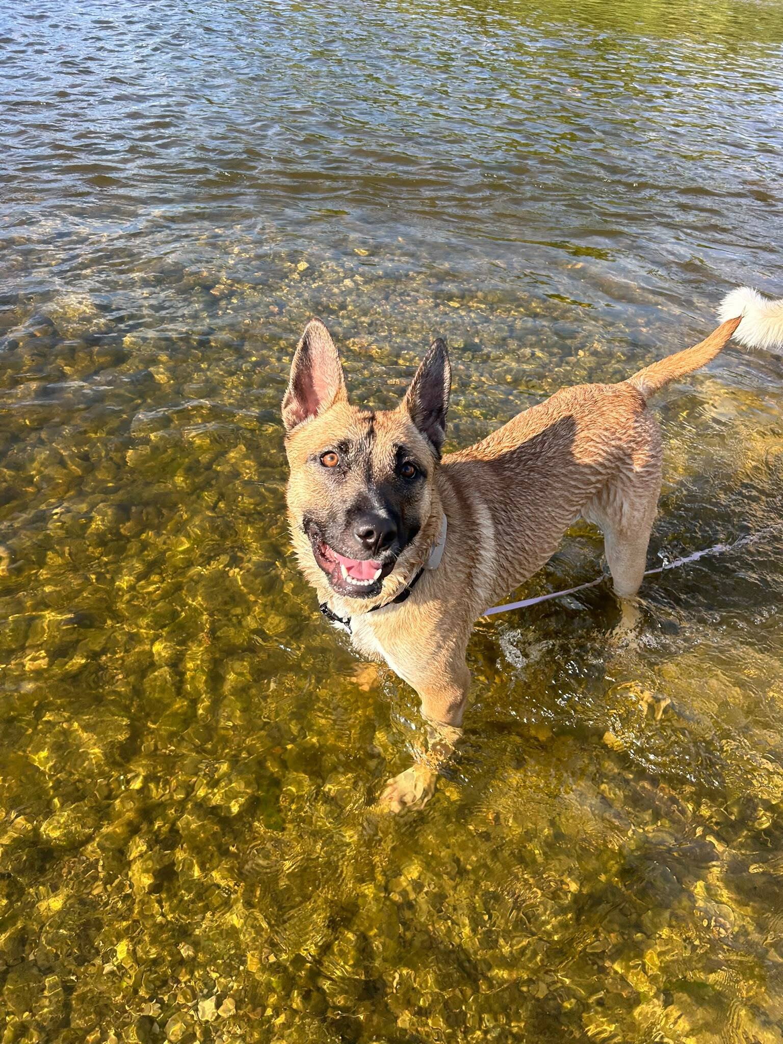 RUBY