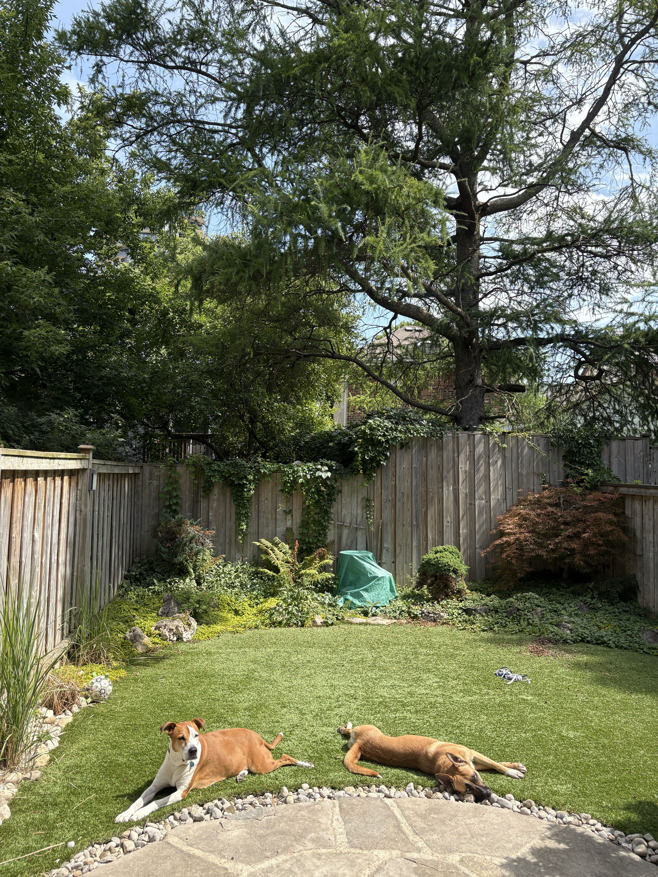 IMG_5203.PNG