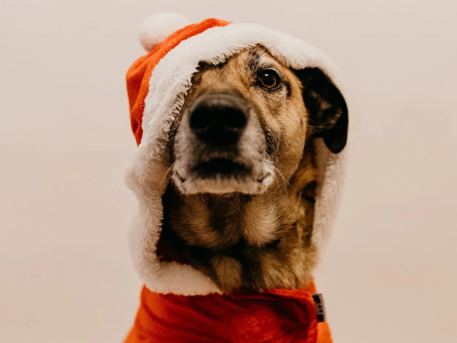 christmas-micke.jpg