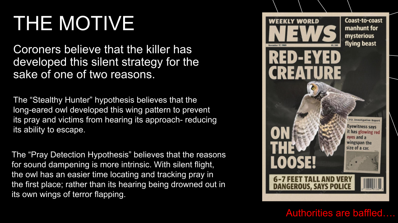 An example slide from a student Superpower assignment