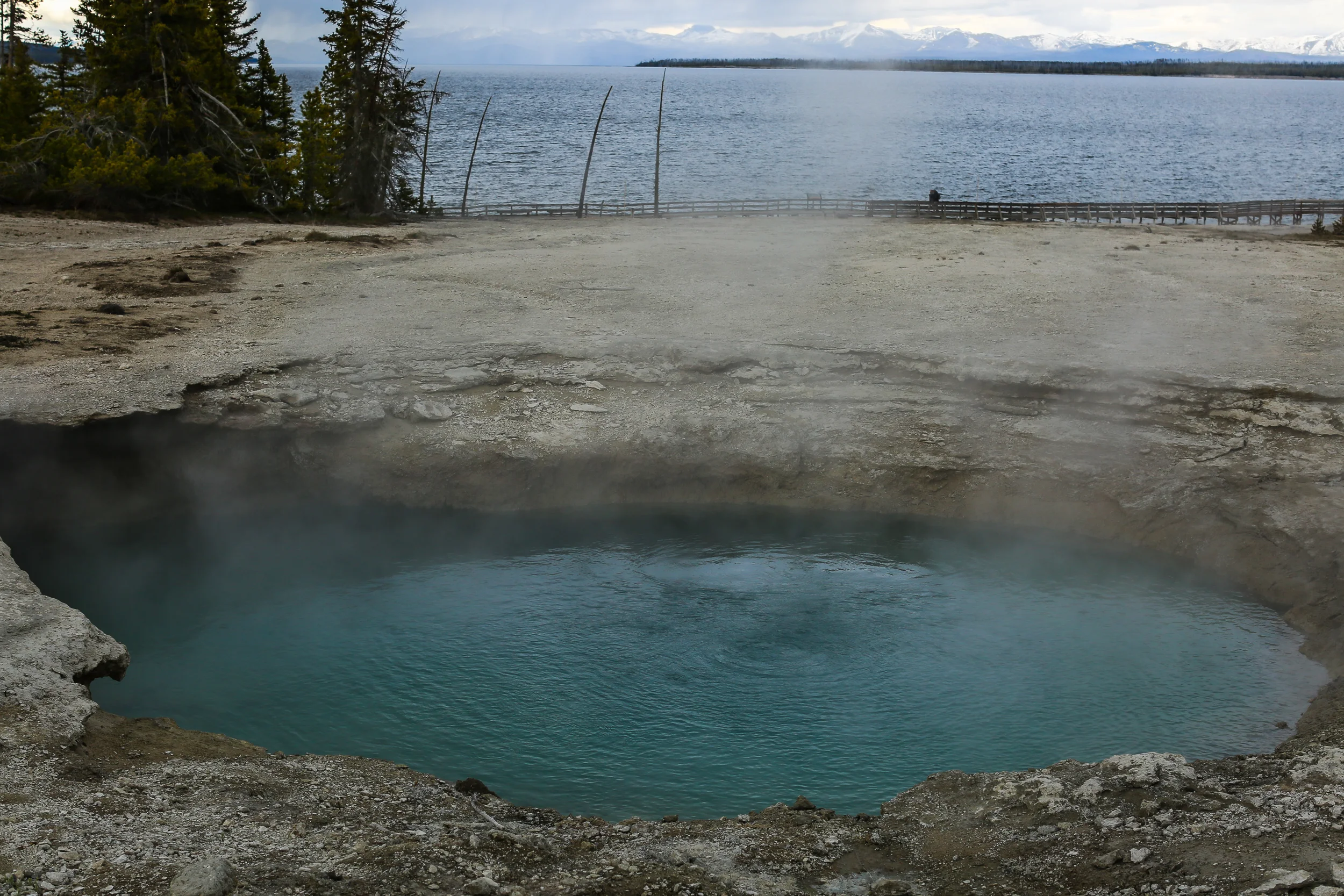 Ledge Spring, West Thumb Geyser Basin, Yellowstone. Ledge Spring fluctuates from hot, blue, and overflowing to cool, colorful, and half empty. *Adapted from the West Thumb Interactive Tour