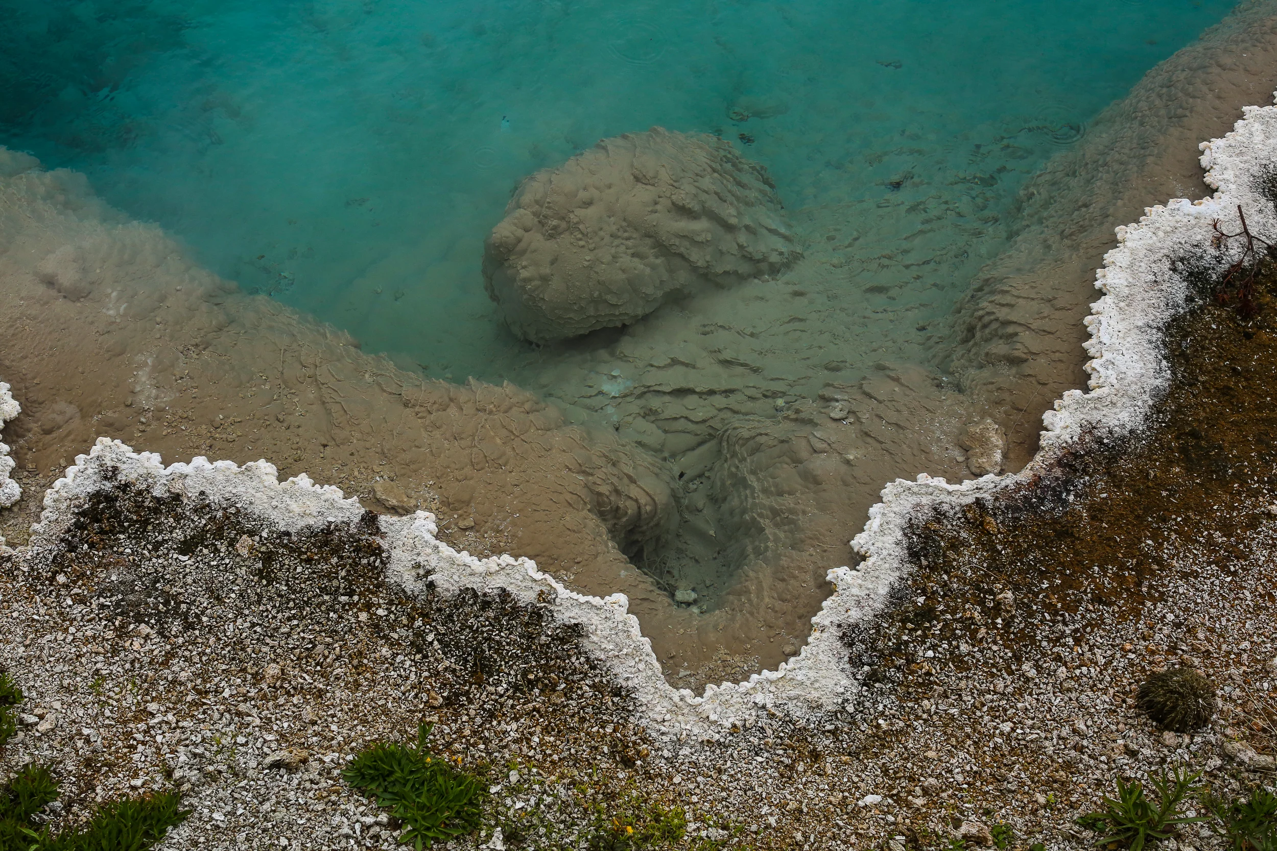 Black Pool, West Thumb Geyser Basin, Yellowstone. Temperature: 132°F. Dimensions: 40x75 feet. Depth 30 feet. Black Pool is one of the largest springs in the West Thumb Geyser Basin. The once very dark-colored water, now lighter as the pool has risen in temperature and killed off some of the bacteria growing in it, was due to a combination of the natural transparent blue of the water and brown and dark green thermophiles (heat-loving microorganisms) growing in the pool. Algae and cyanobacteria in combination with sinter deposits have created coral-like formations on the sides of the pool. The pH of Black Pool is a slightly alkaline 7.8. *Adapted from the West Thumb Interactive Tour