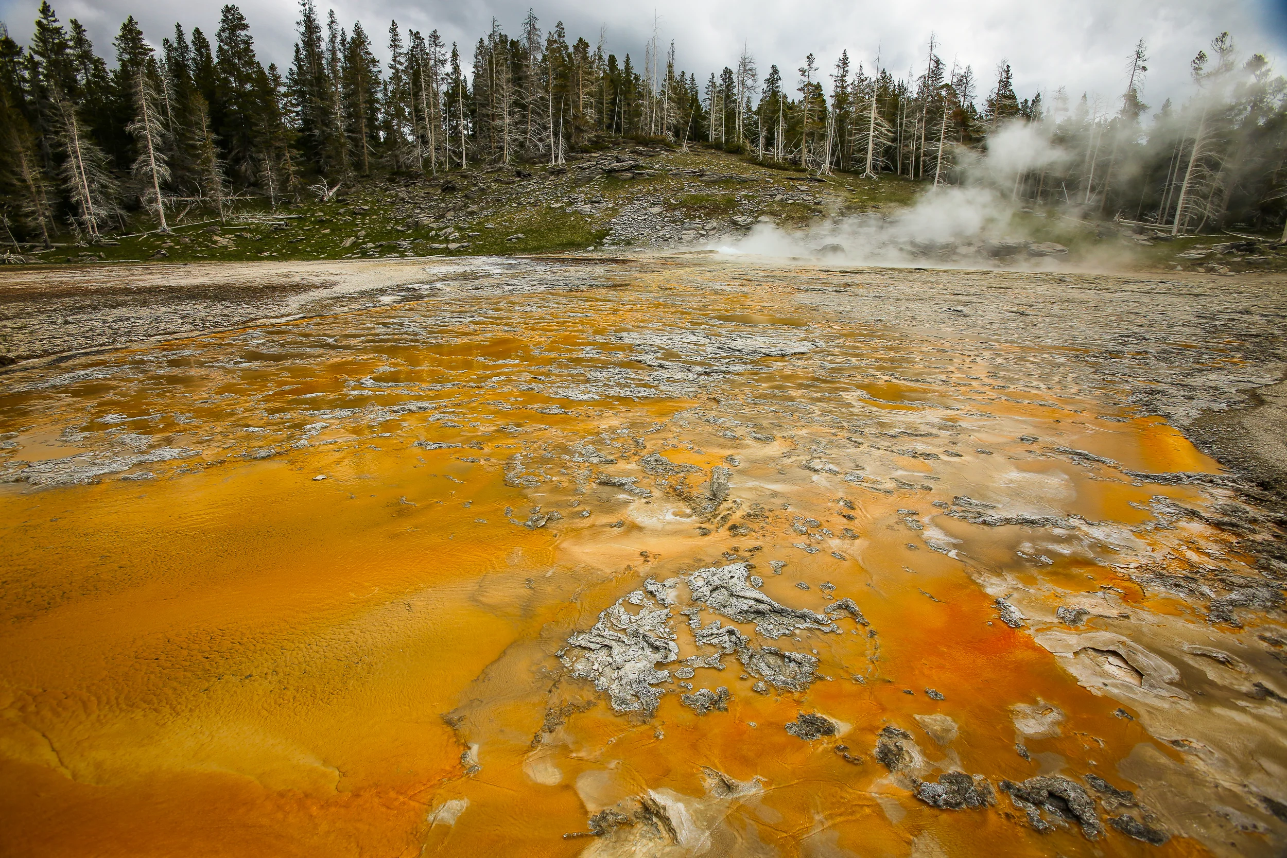Grand Geyser and its sprawling bacterial mats. "The power and spectacle of a Grand Geyser eruption inspired the name given by the 1871 Hayden Expedition. It is one of the few major geysers that has not changed considerably since its early discovery. This fountain-type geyser erupts from a shallow basin which slowly fills with water over a 5 hour period." - yellowstonenationalpark.com