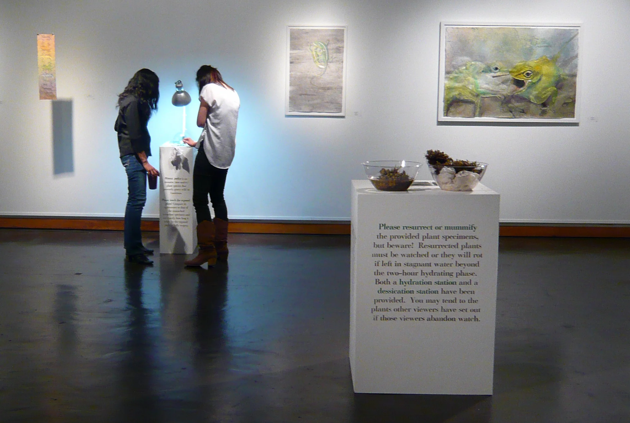 Interactive plant exhibit, by Shelby Prindaville. (C) Shelby Prindaville, used with permission.