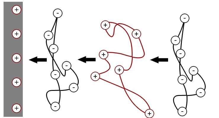Opposites Attract. Schematic showing the alternating adsorption of positively and negatively charged polyelectrolytes to a solid surface. Created by Ayouril, Wikipedia.