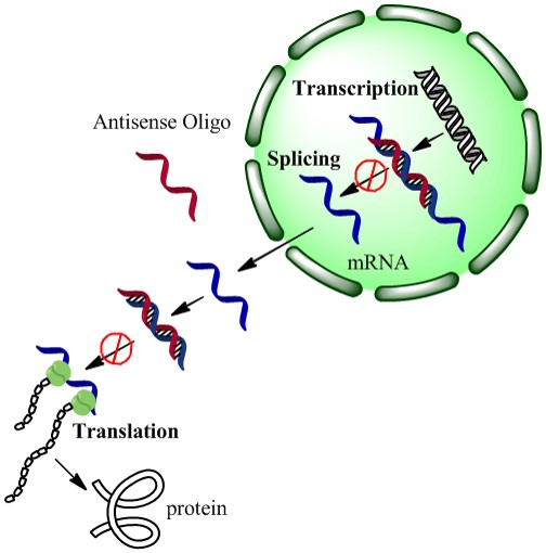 Antisense-Tech.jpg