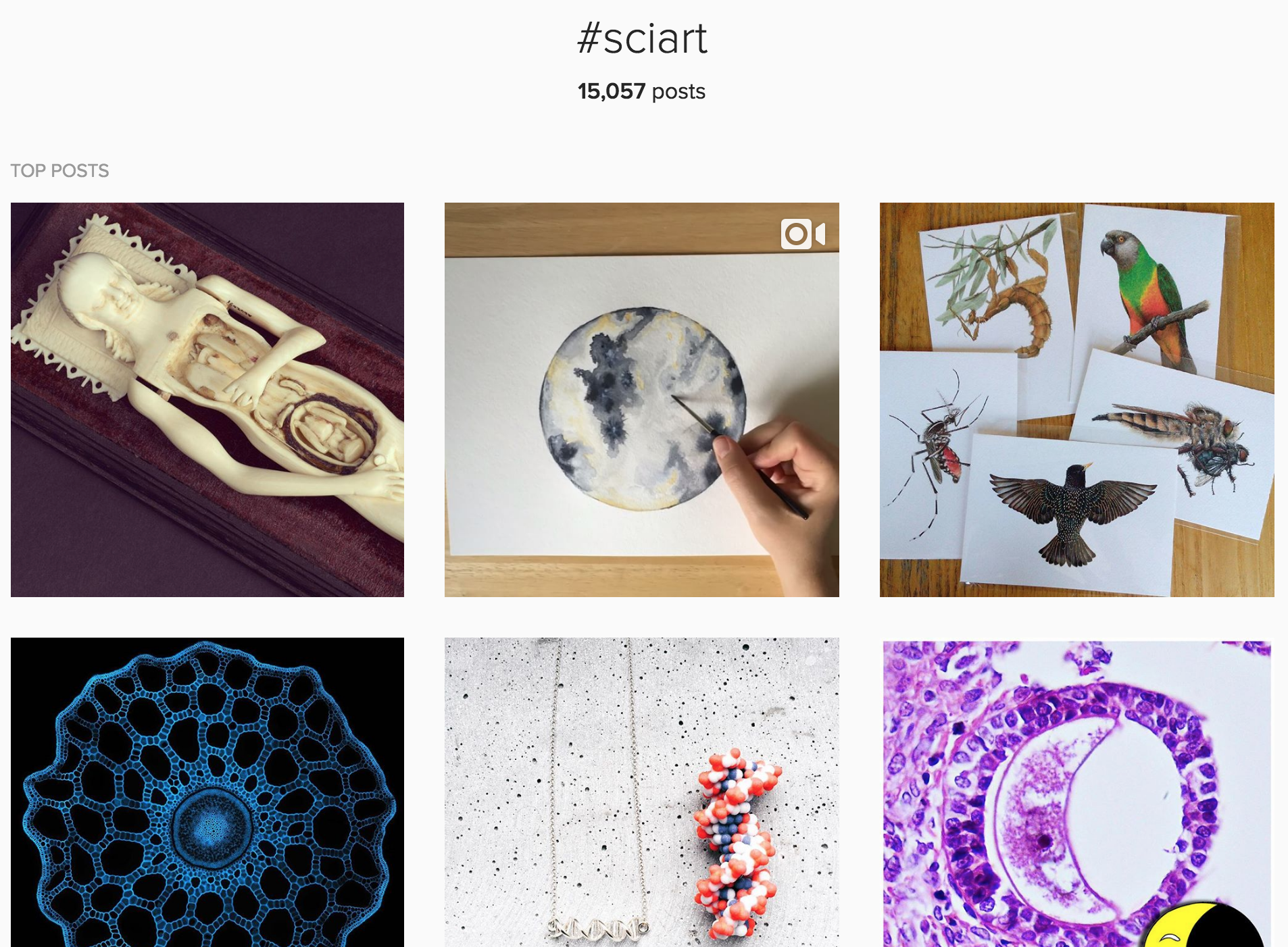 #sciart posts on Instagram, screenshot.