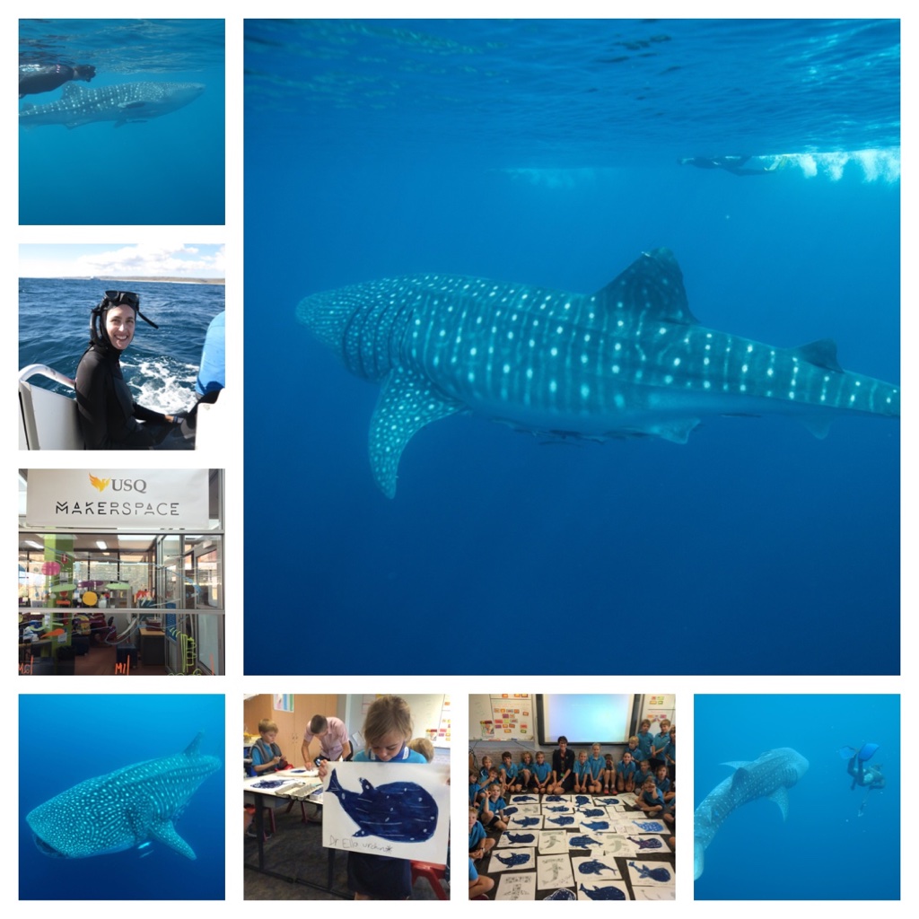 Montage by Sue Pillans - Whale Shark Day 2016 .