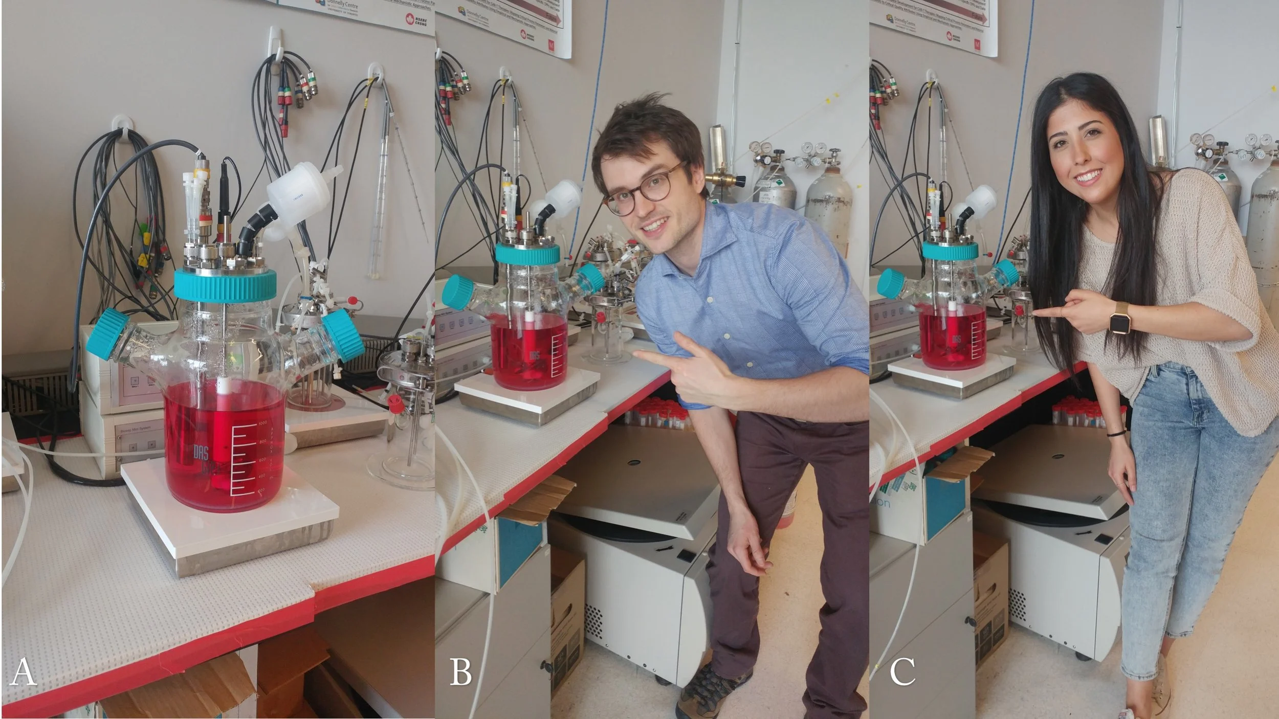 Example of stimulus image series: A) science-only, B) male human element, C) female human element. 
