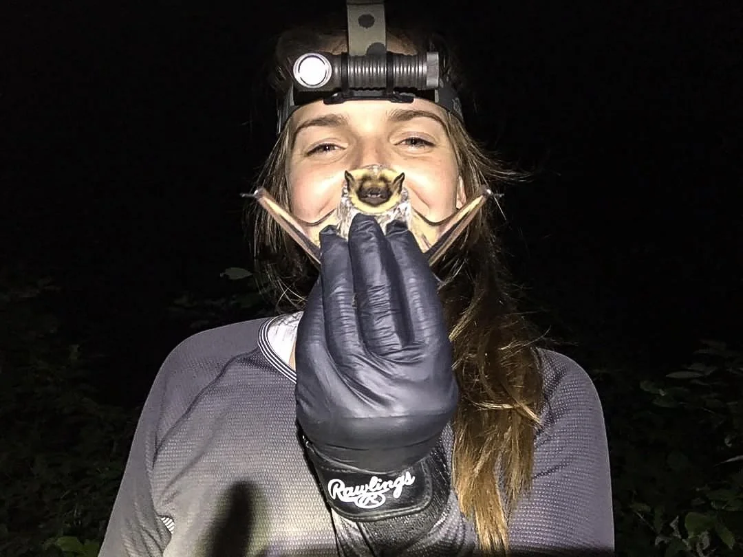  Hannah Hayes is a wildlife biologist - she works with bats, as an environmental consultant. She took this AWESOME bat #scienceselfie and sent it to us on Instagram.