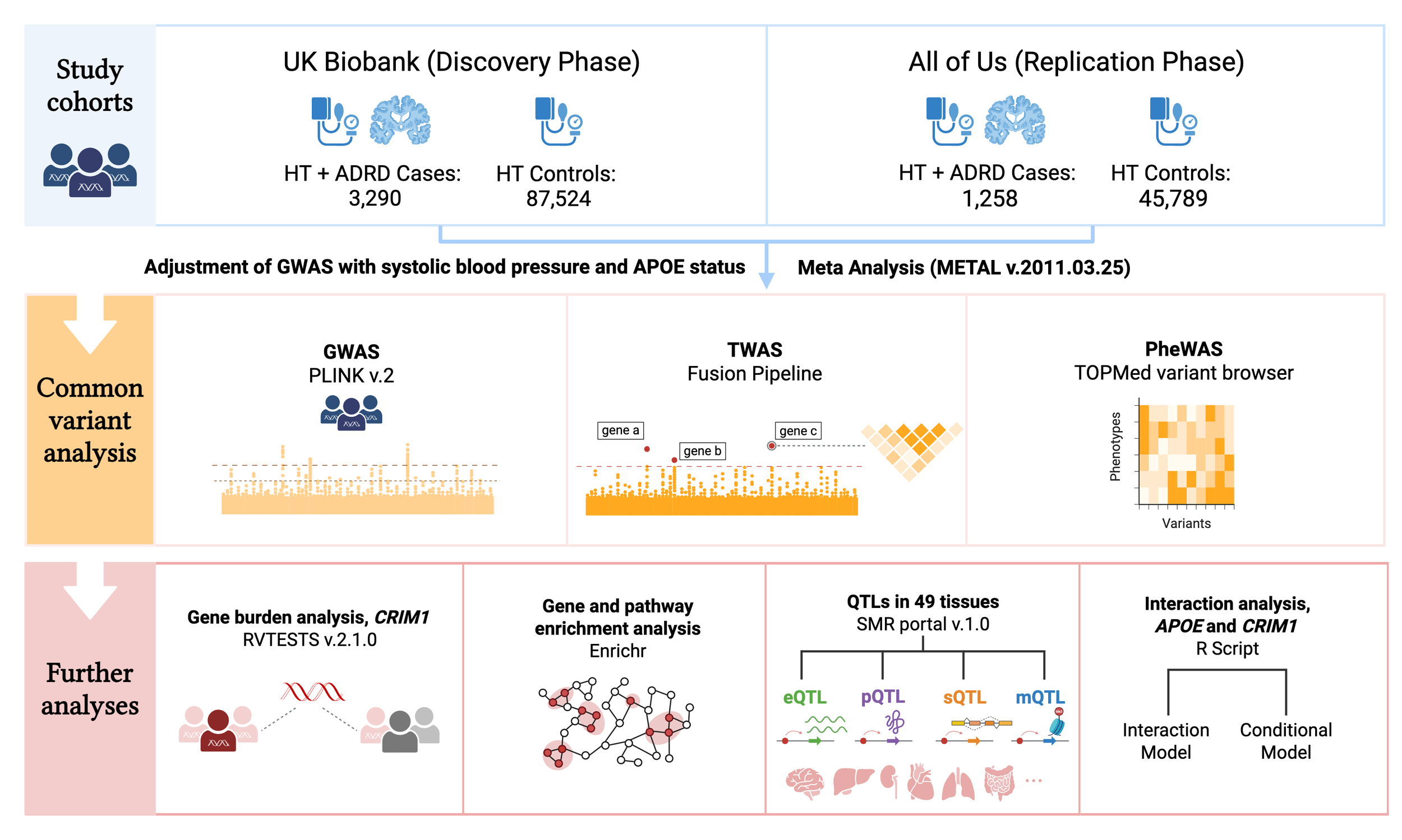 Workflow scientific figure