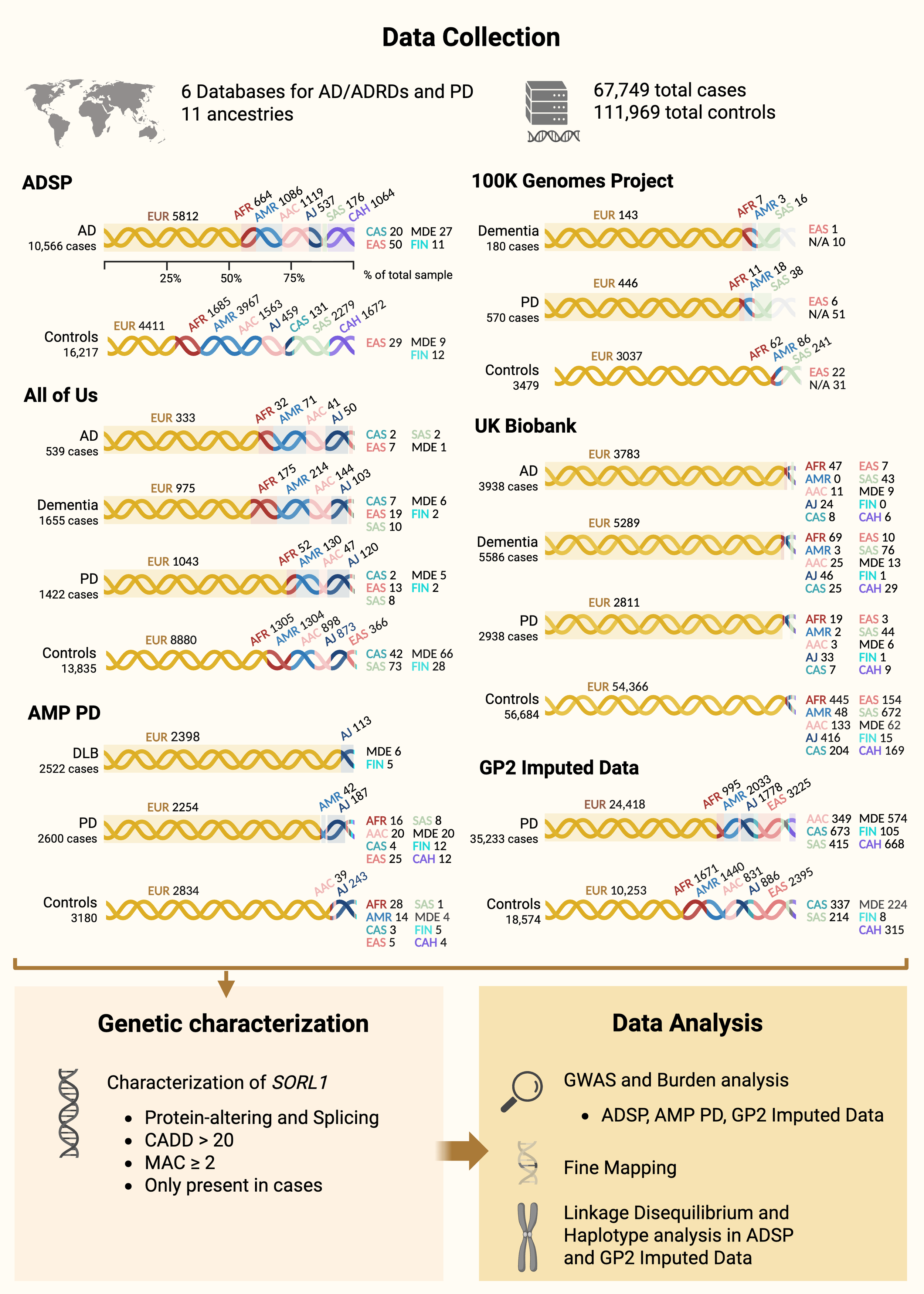 Data Visualization