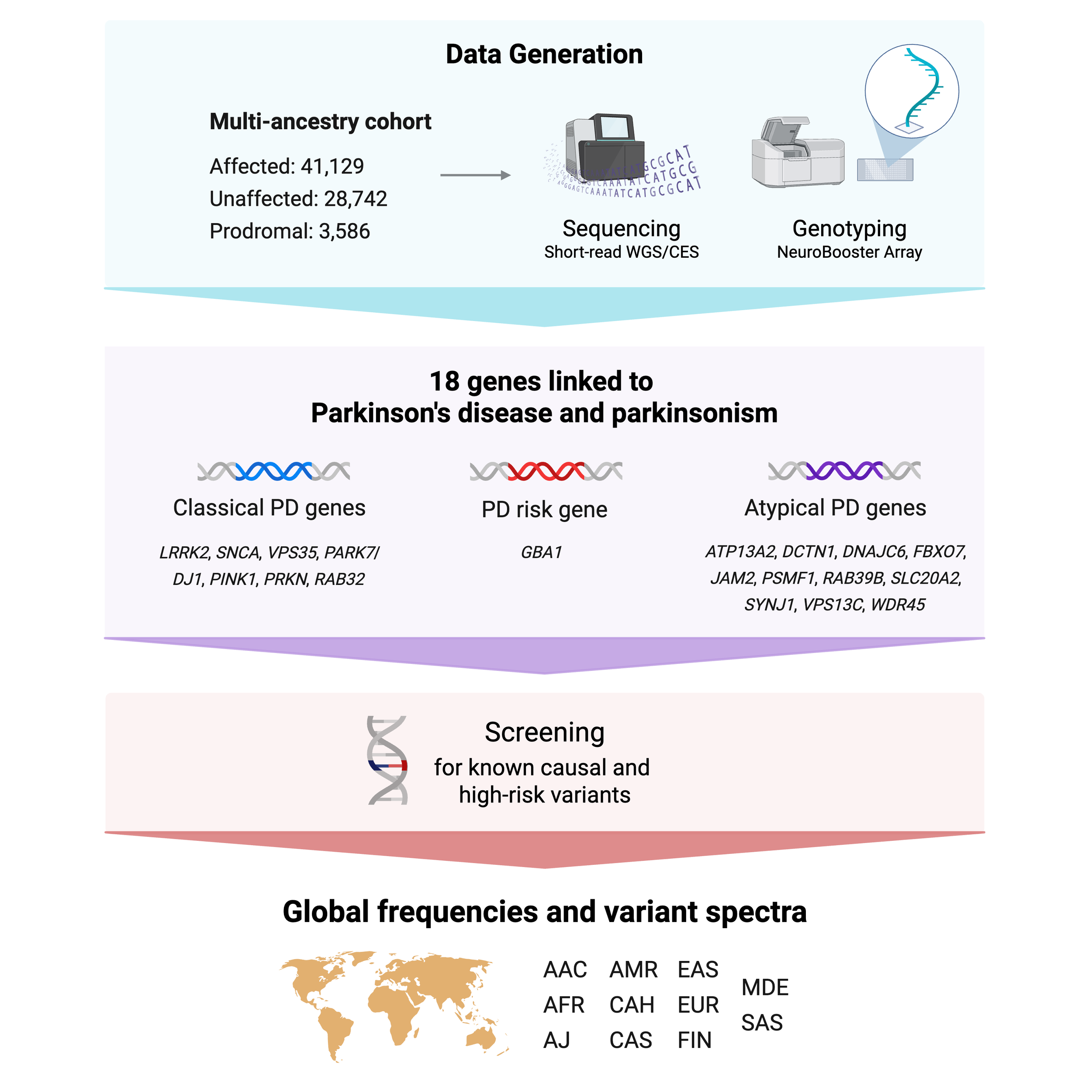 Lara Lange overview graphic.png