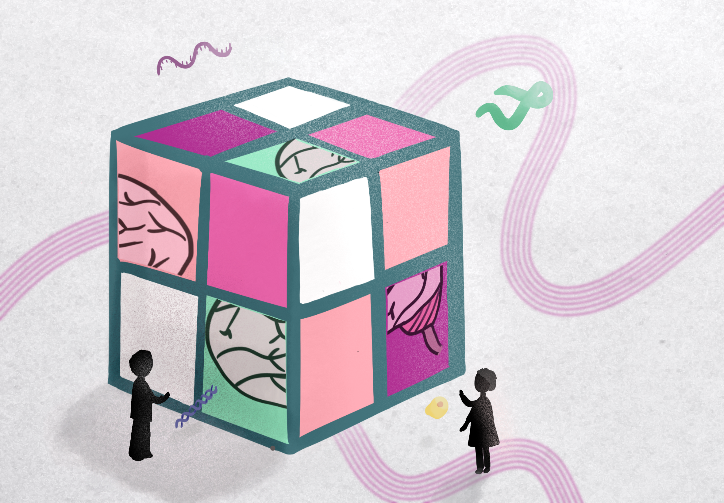 Cube_Card 2.png