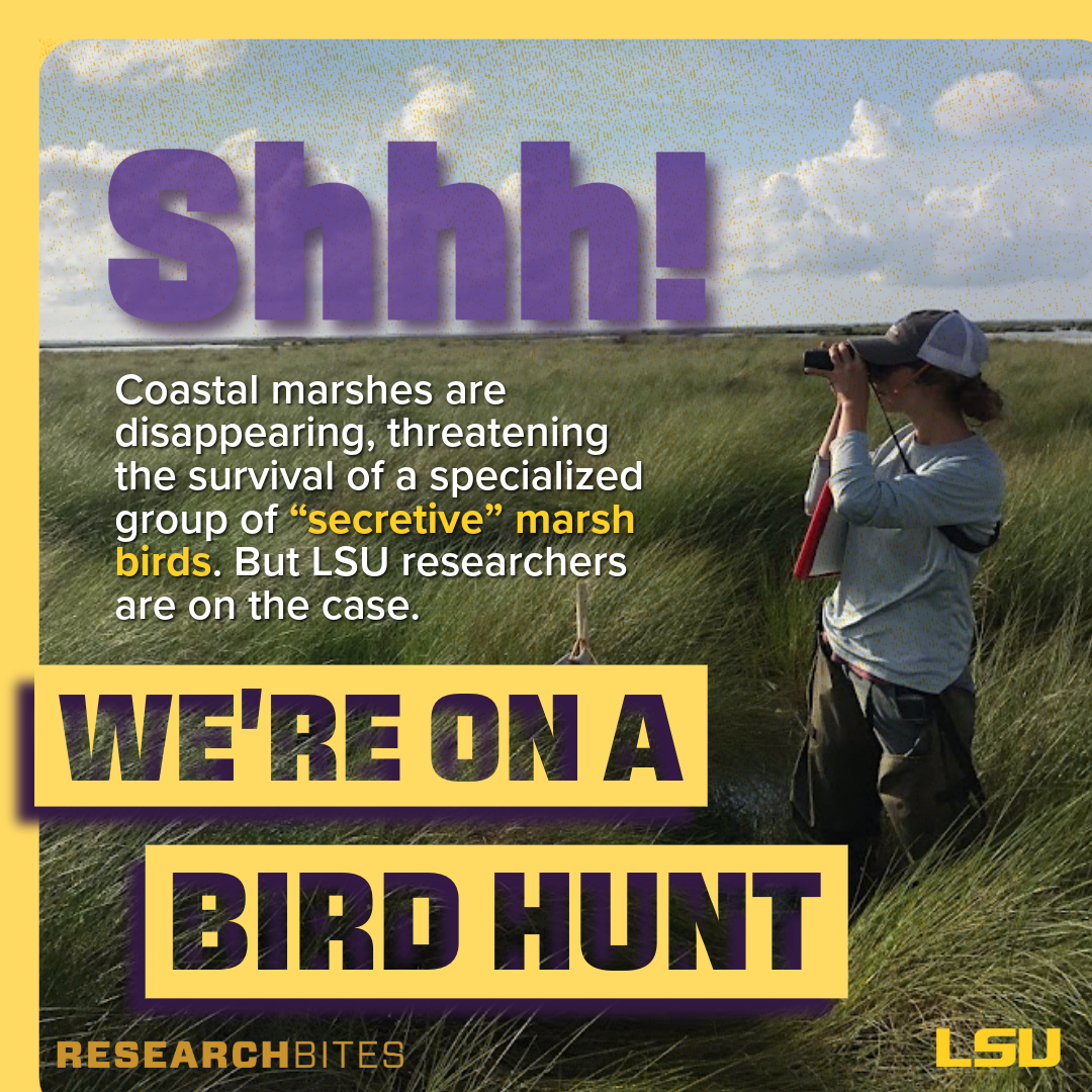 Research Bites-1.png
