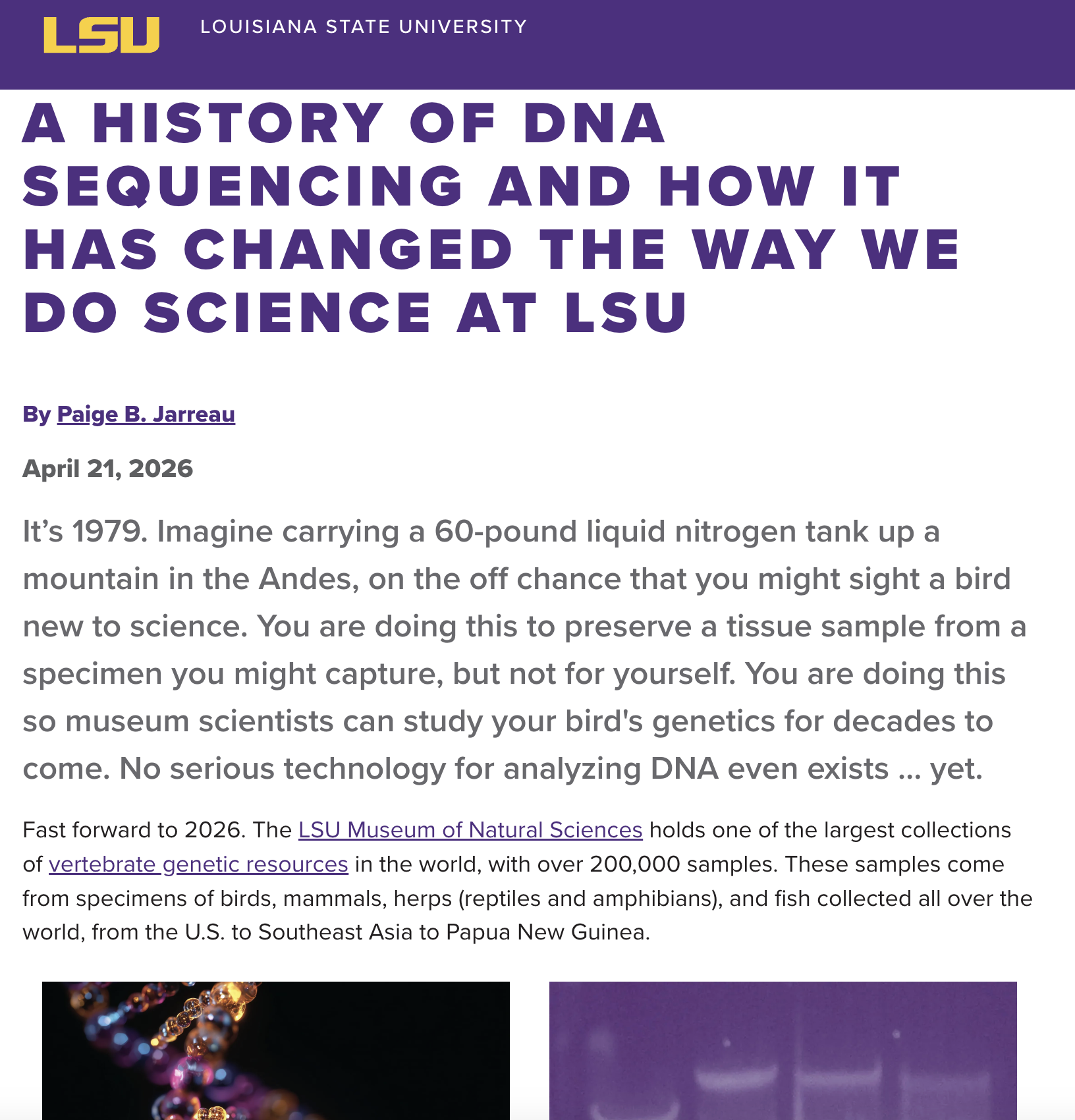 Long-form story