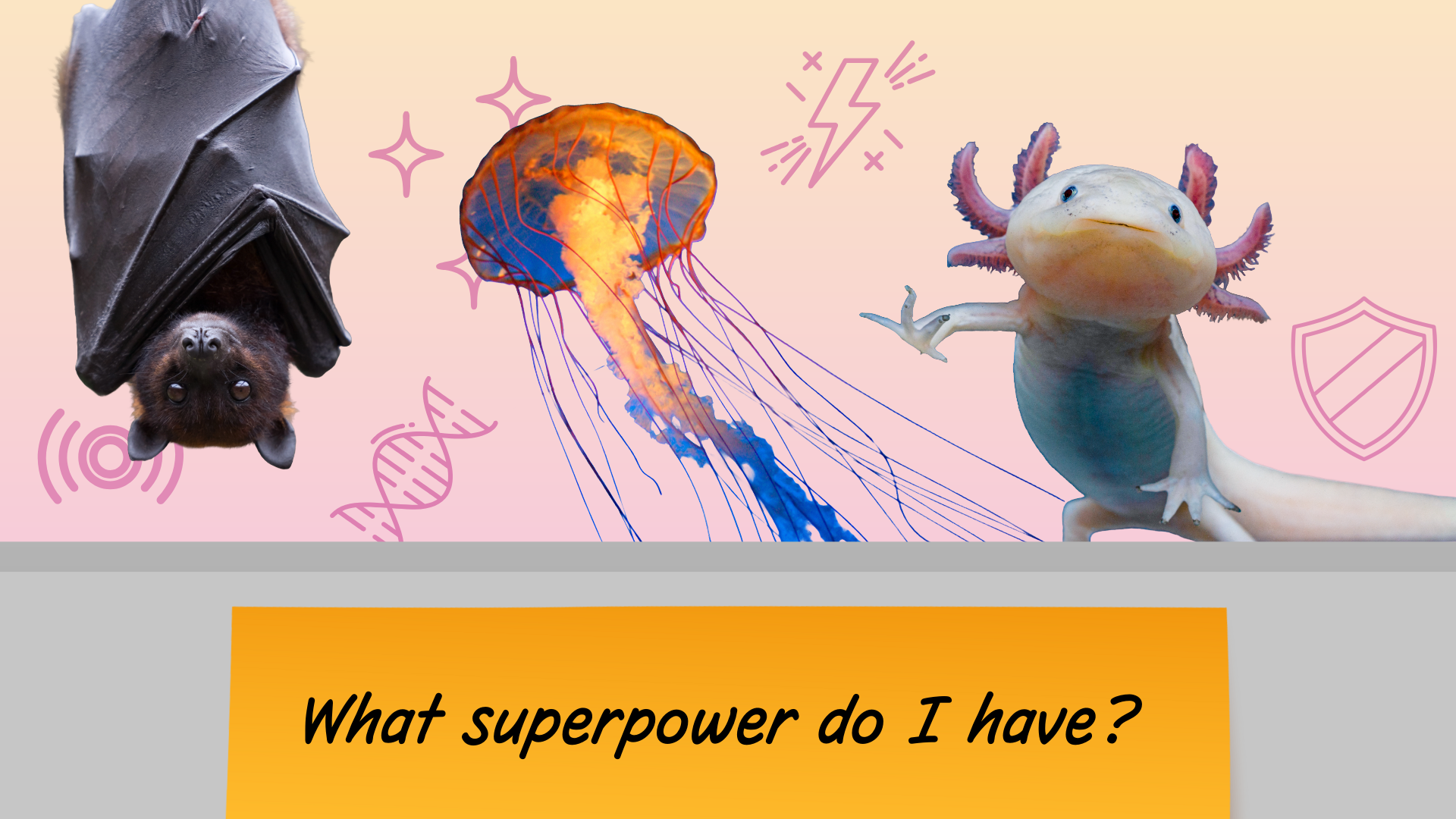 A bat, an axolotl, and a jellyfish on a slide with a note that says "What superpower do I have?"