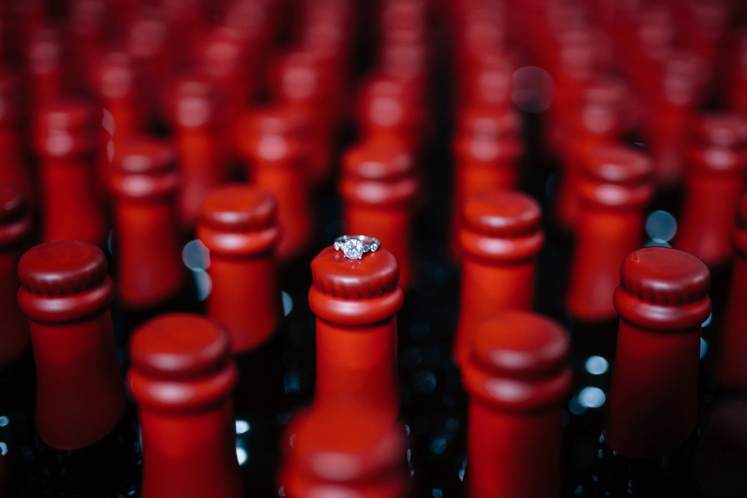 Ring Shot - Lianne and Don