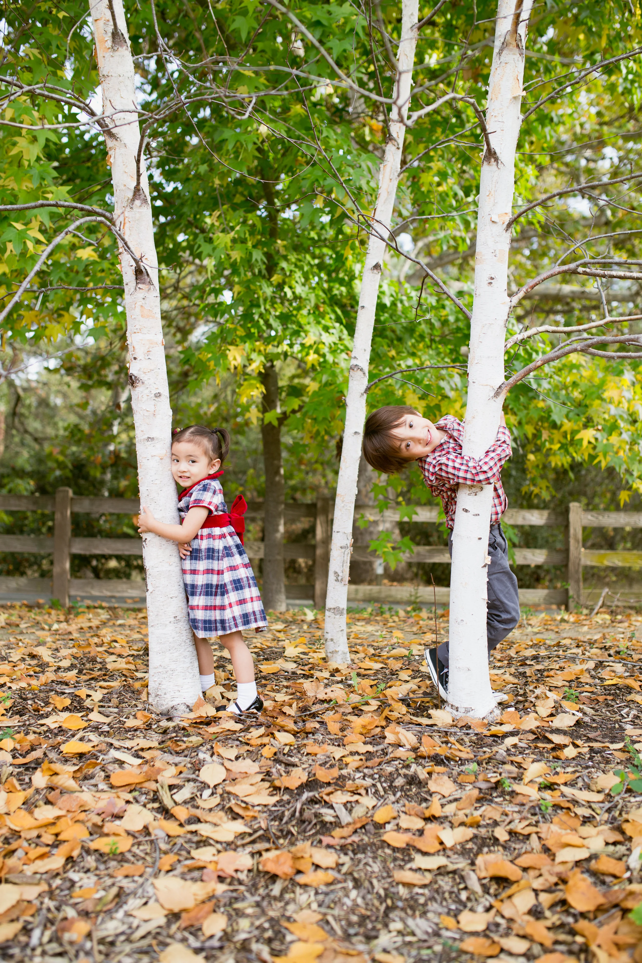  Taken at Markham Nature Park 