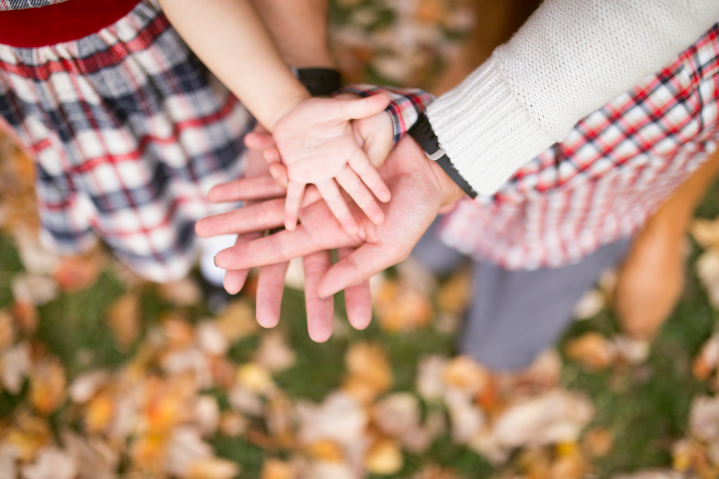  Taken at Markham Nature Park 