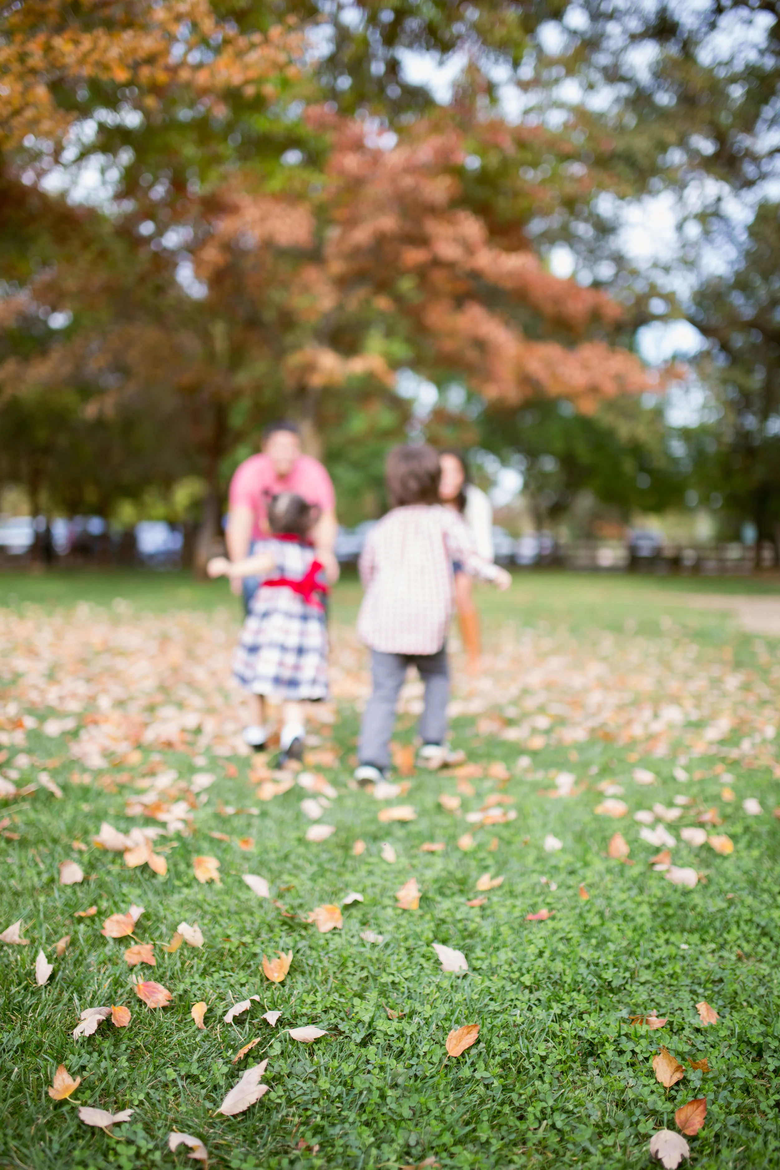  Taken at Markham Nature Park 