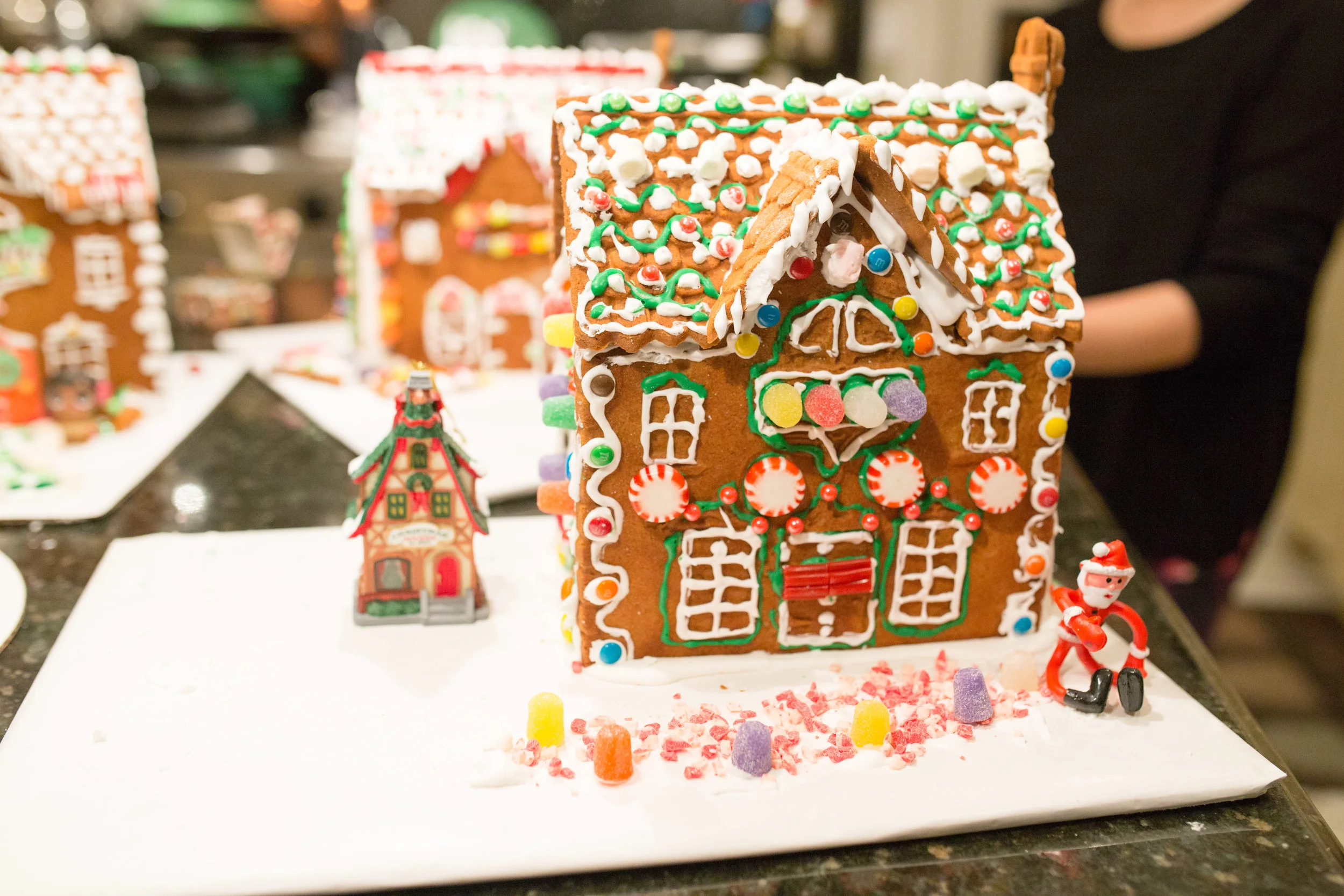 Gingerbread 2017-7260.jpg