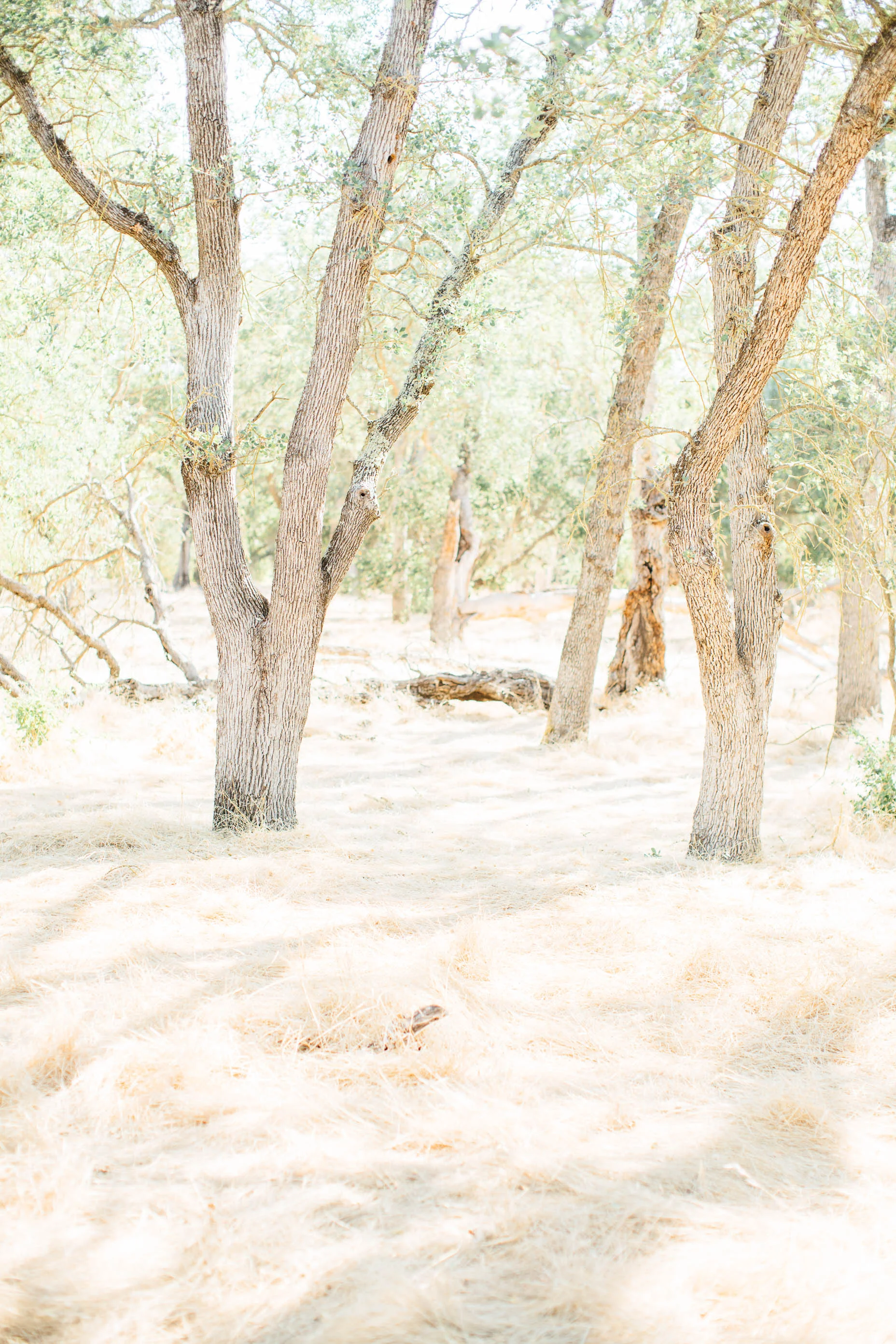 Nancy Joe and Nixon-01396.jpg