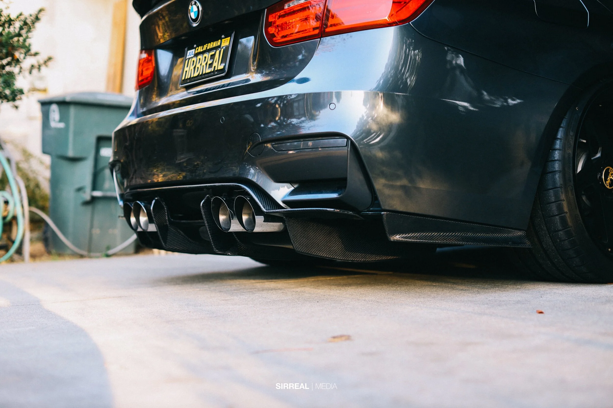 EOS R shots-0005.jpeg