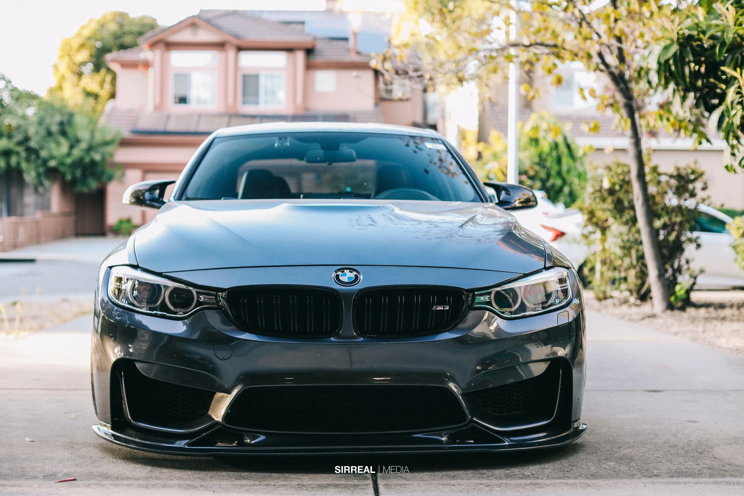 EOS R shots-0010.jpeg