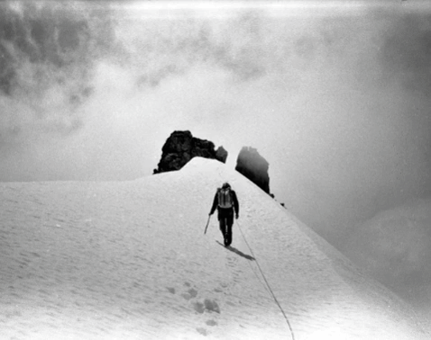 Photos Courtesy of © Tommy Nease