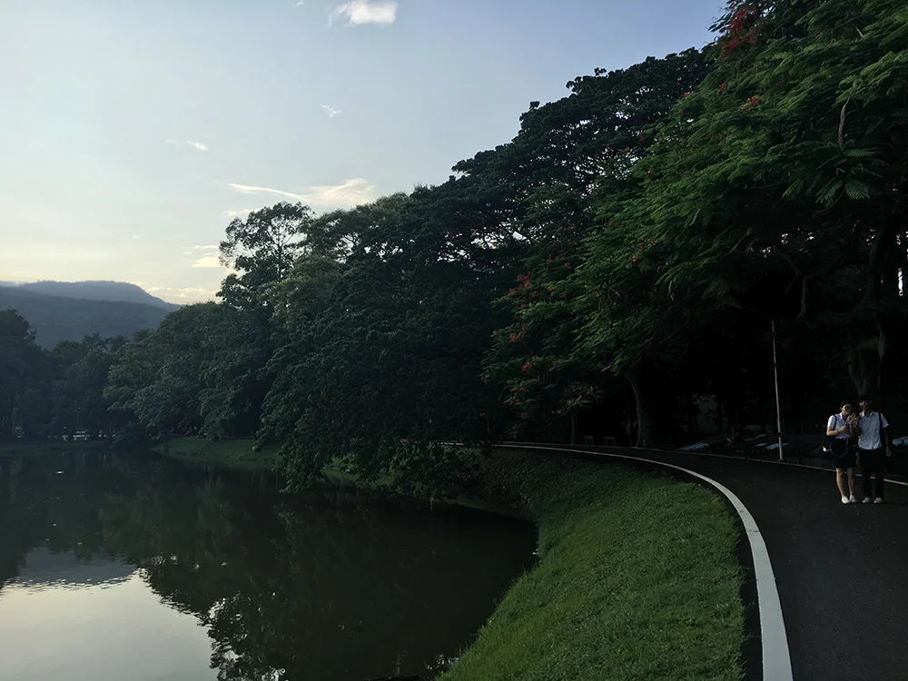 Day 7: I'm grateful for unknown roads and adventures in life. 