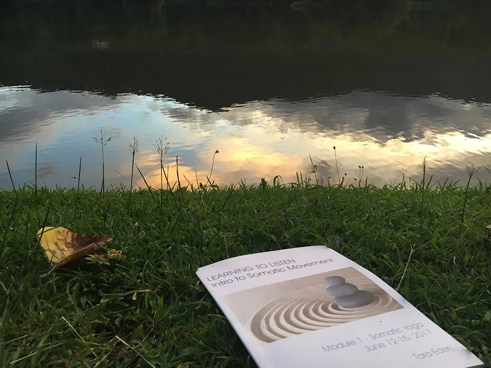 Day 14: I'm grateful for learning and being a student. Day three of "Learning to Listen" including Feldenkrais and somatic movement left me feeling kind of high ✨ What sparks your curiosity and motivates you to dive deep into learning? 