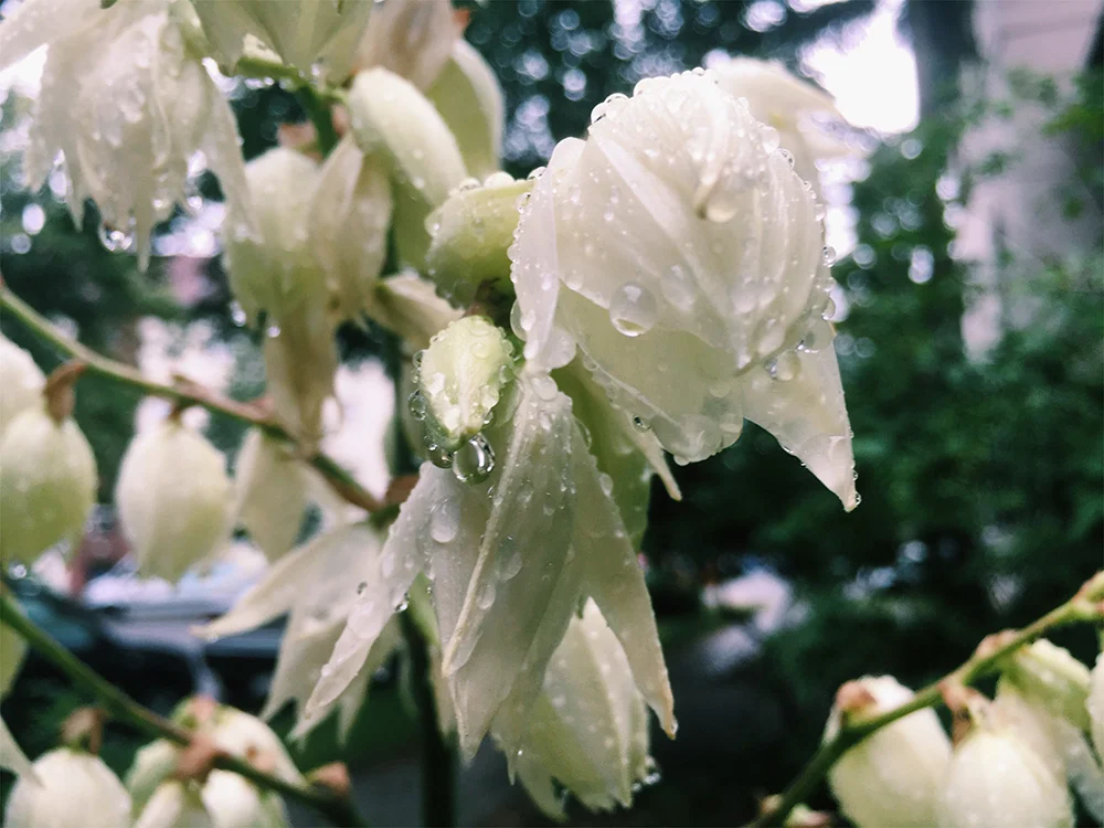 Day 29: I'm grateful for blankets, a warm home and coziness on a rainy day.